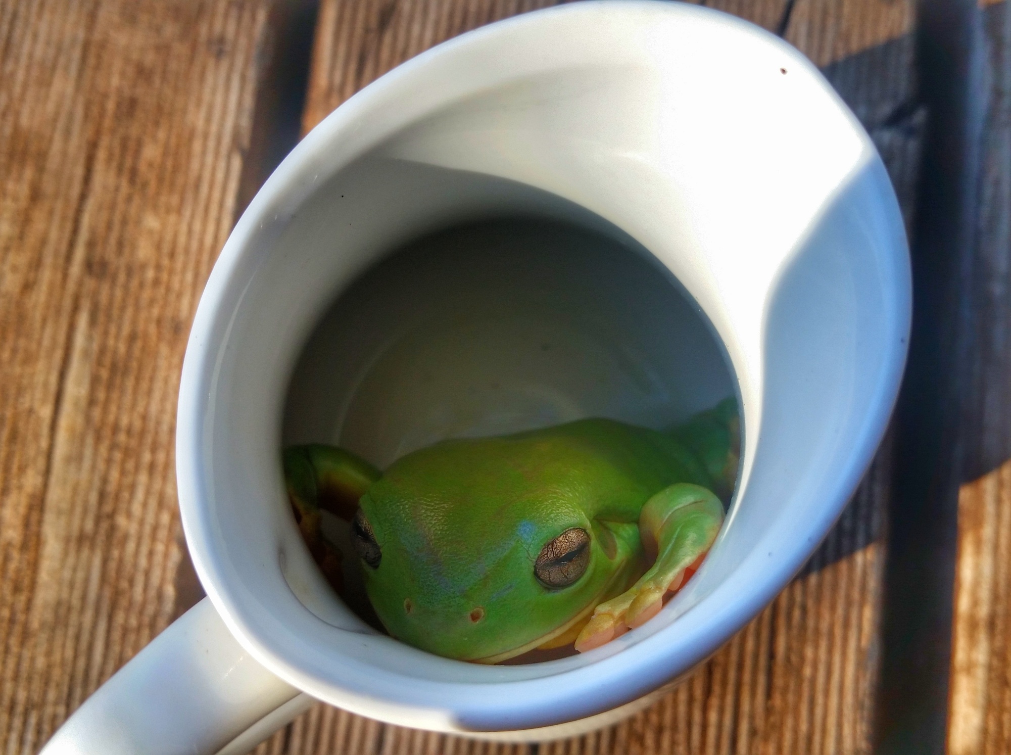 A reminder to put your dishes away…or not!