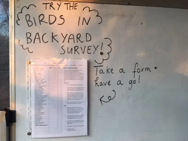 Watch the Shadehouse bird baths and survey what you see in our ‘backyard’