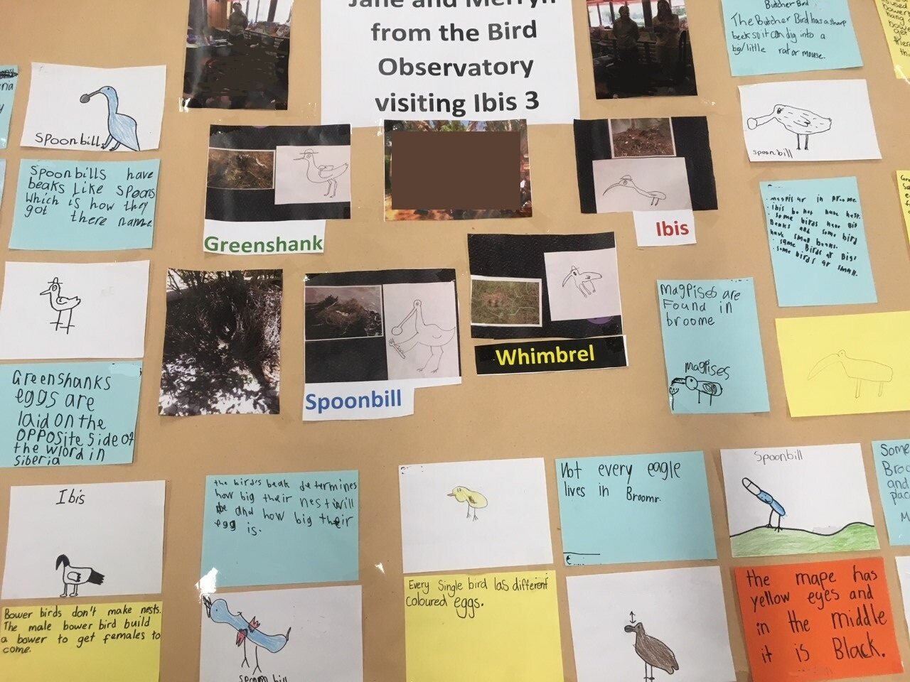 ‘Greenshank eggs are laid on the opposite side of the world in Siberia’. Some of the reflections students from Roebuck Primary had after the BBO staff visited.