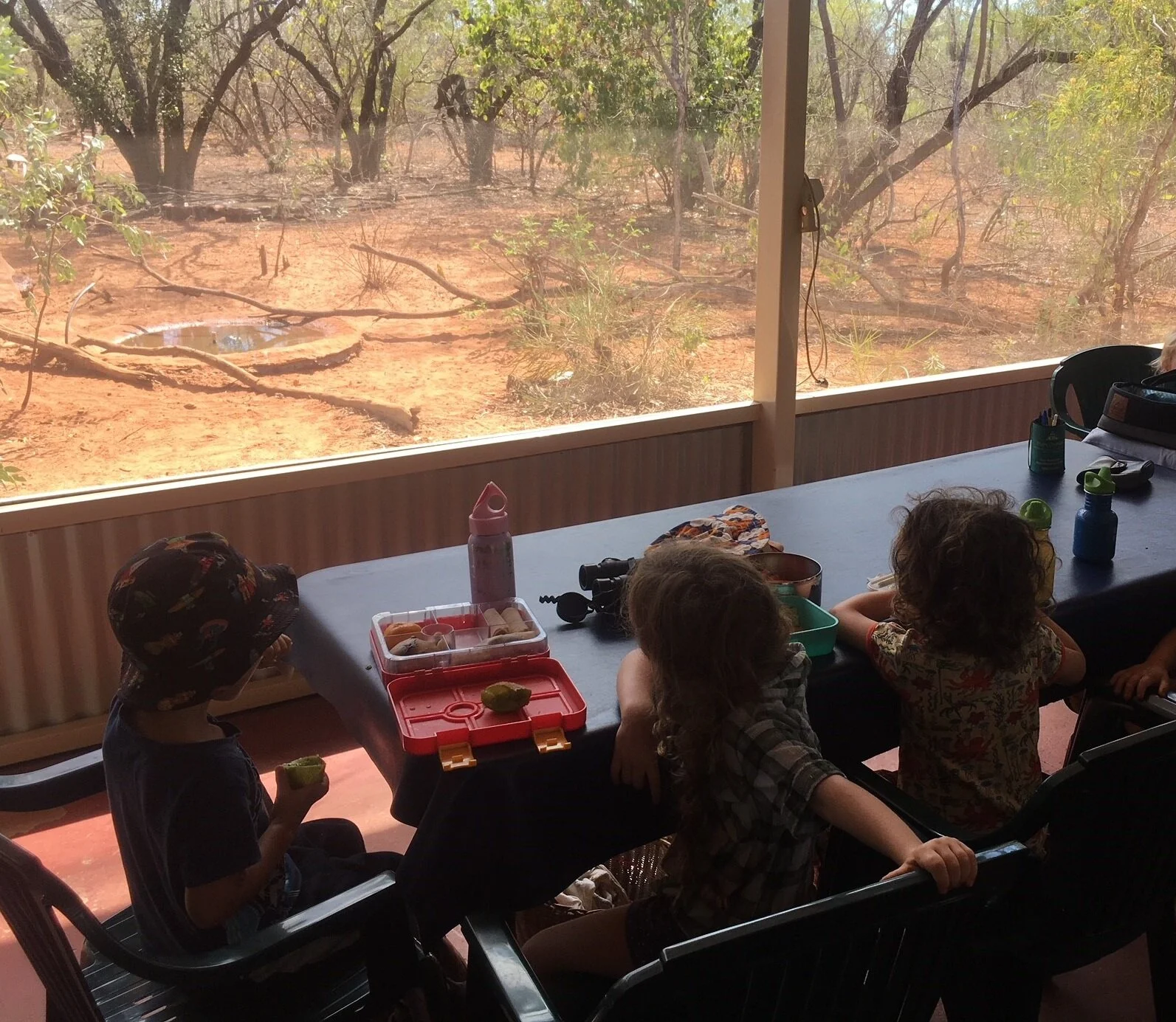 The kids from Nature Play Group keenly watching the bird baths after having a walk to the viewing platform