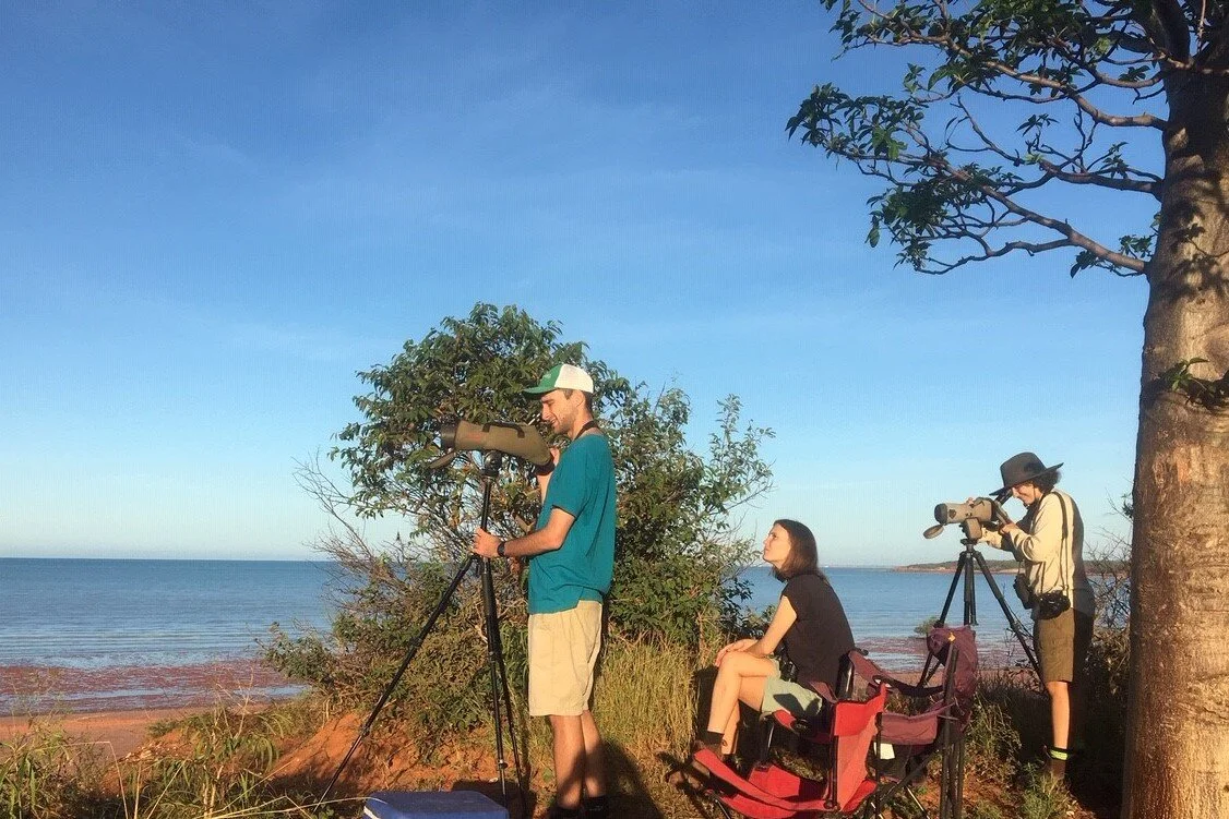 Birding in Isolation