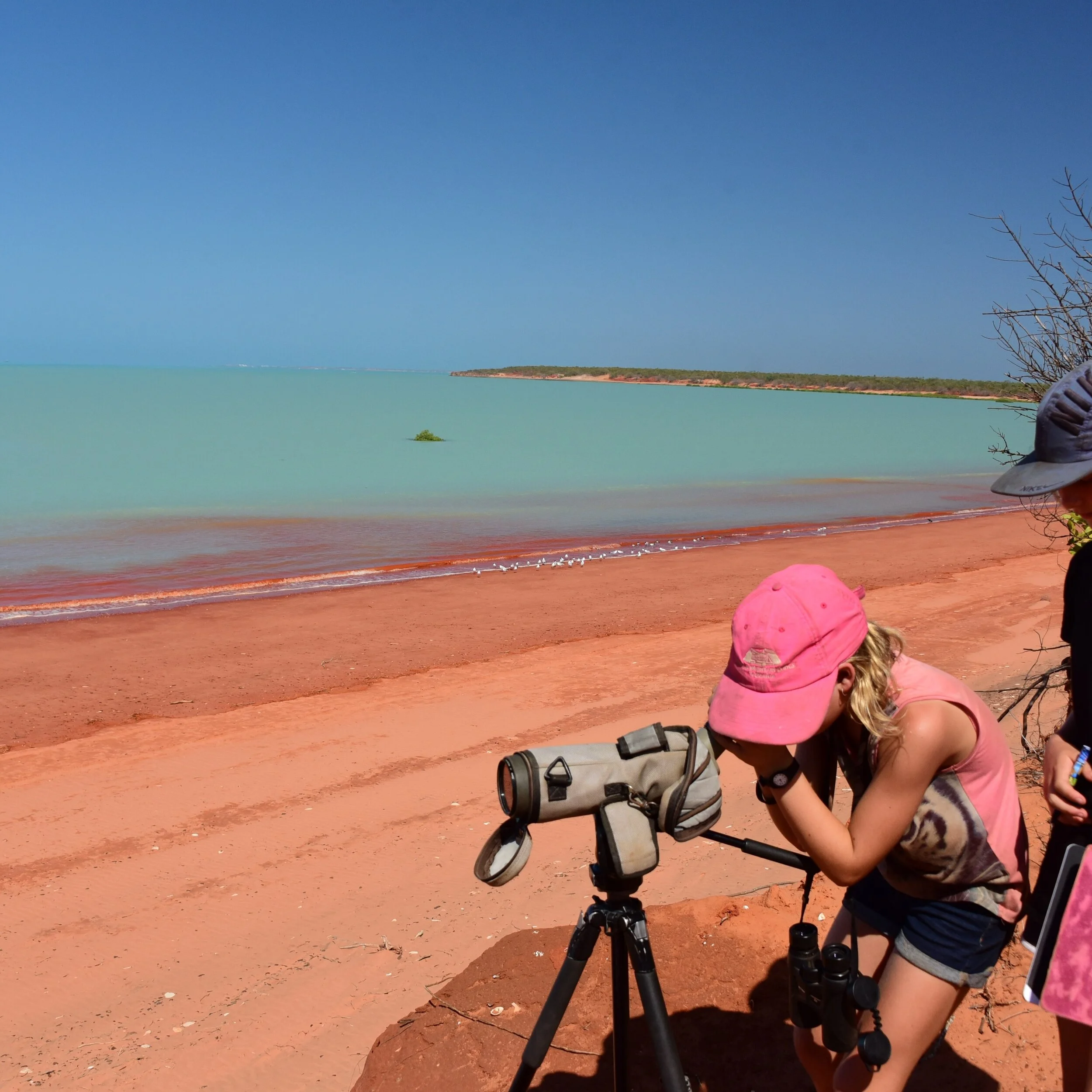 A Tale of Two Sisters at the BBO