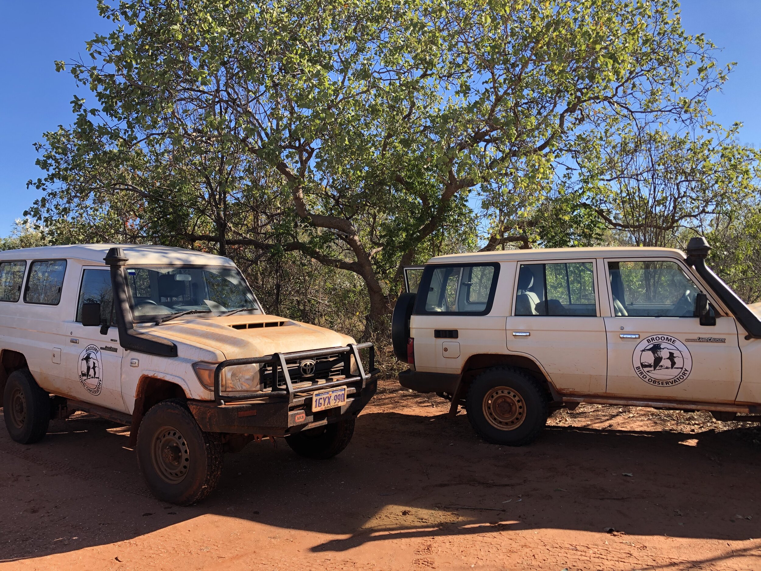  Our tour vehicles. 