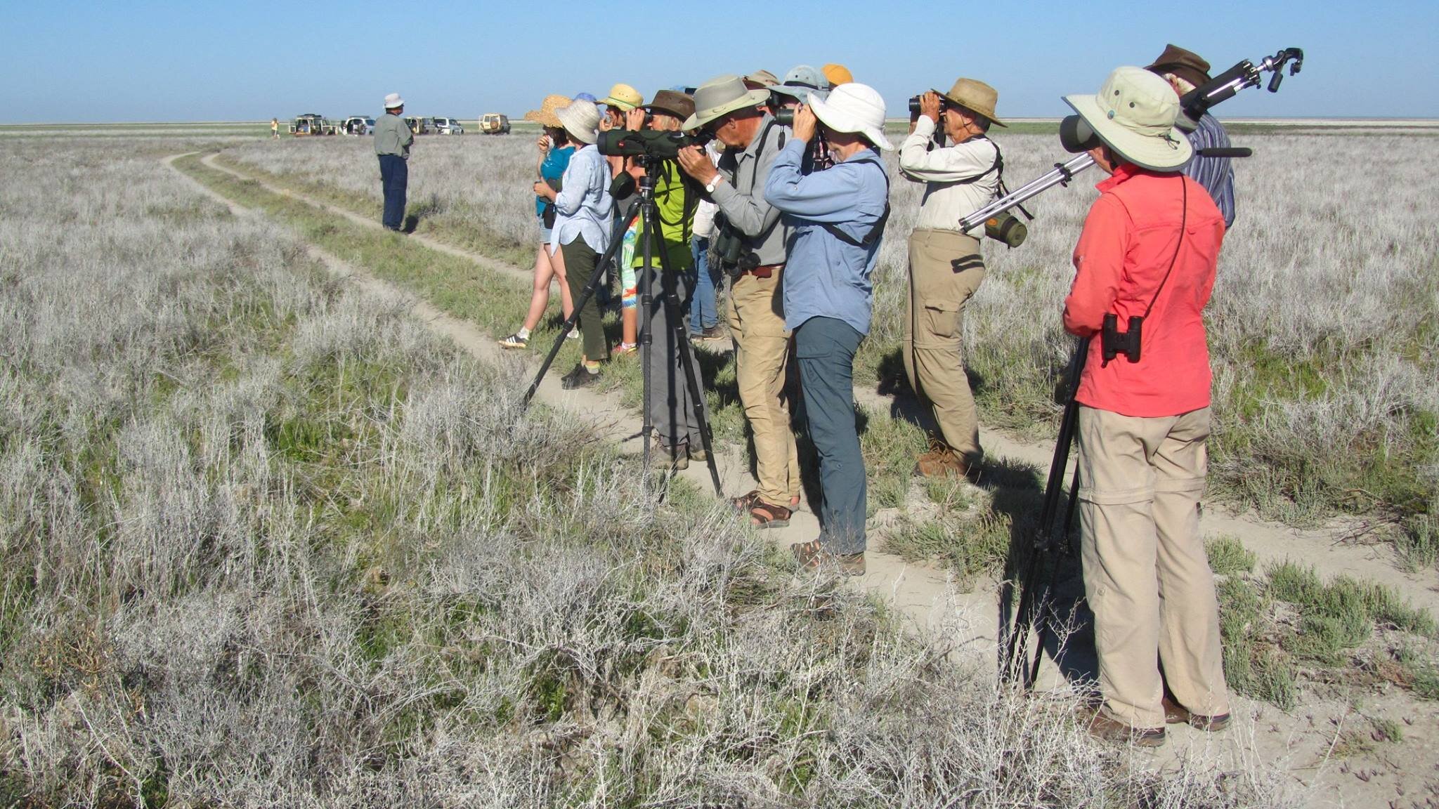  The BBO was lucky enough to host BirdLife Australia’s Congress and Campout in 2018. 