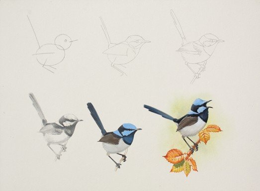 Field Sketching for Beginners