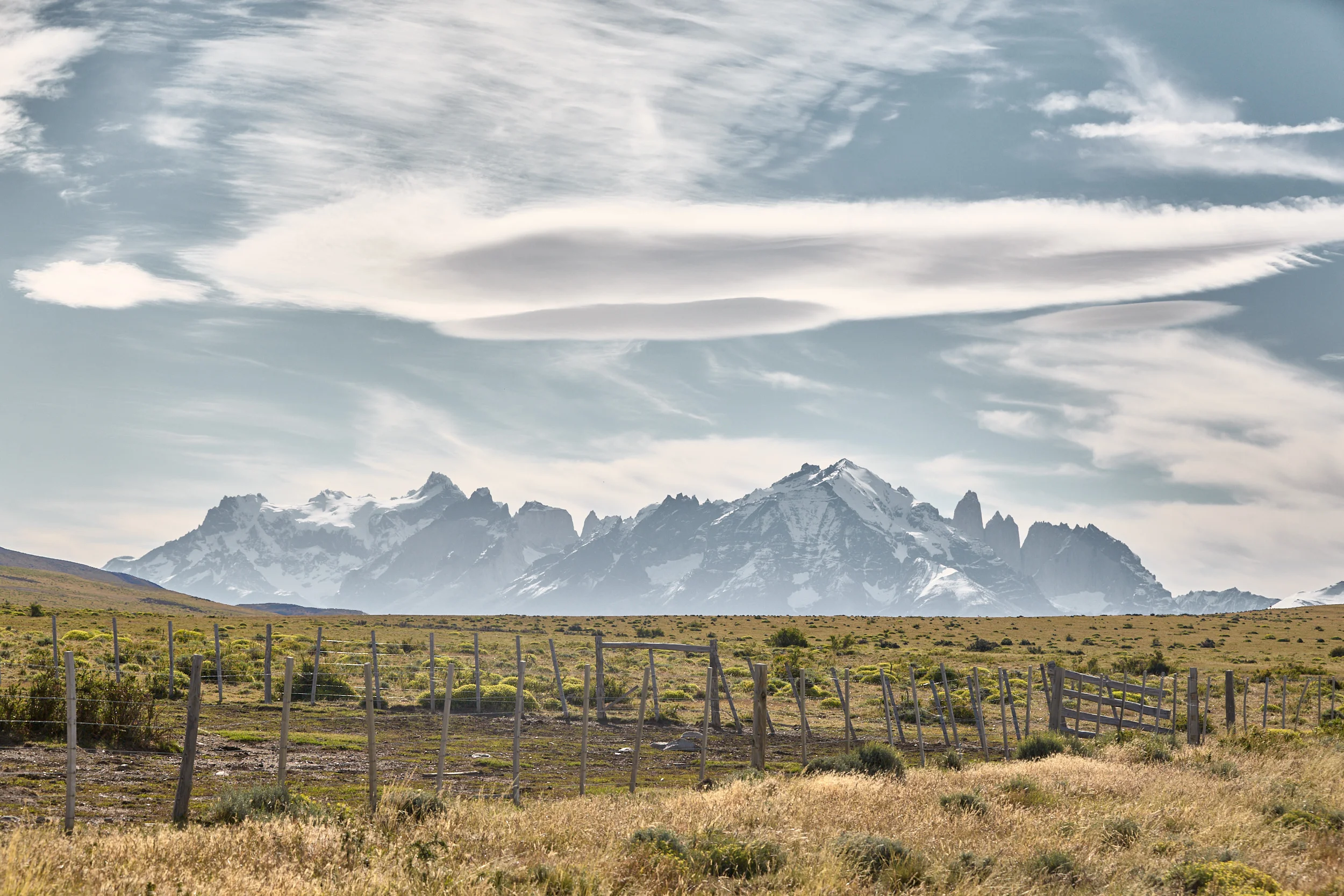 MTP_MG_8325.jpg