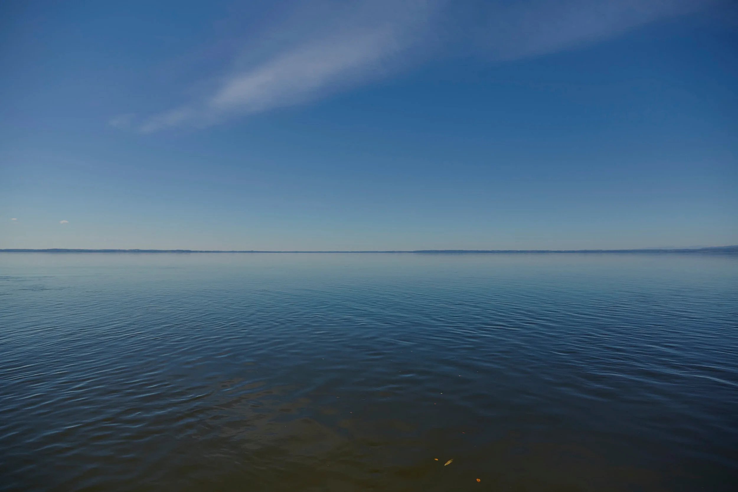 mtp__CRL2988.jpg