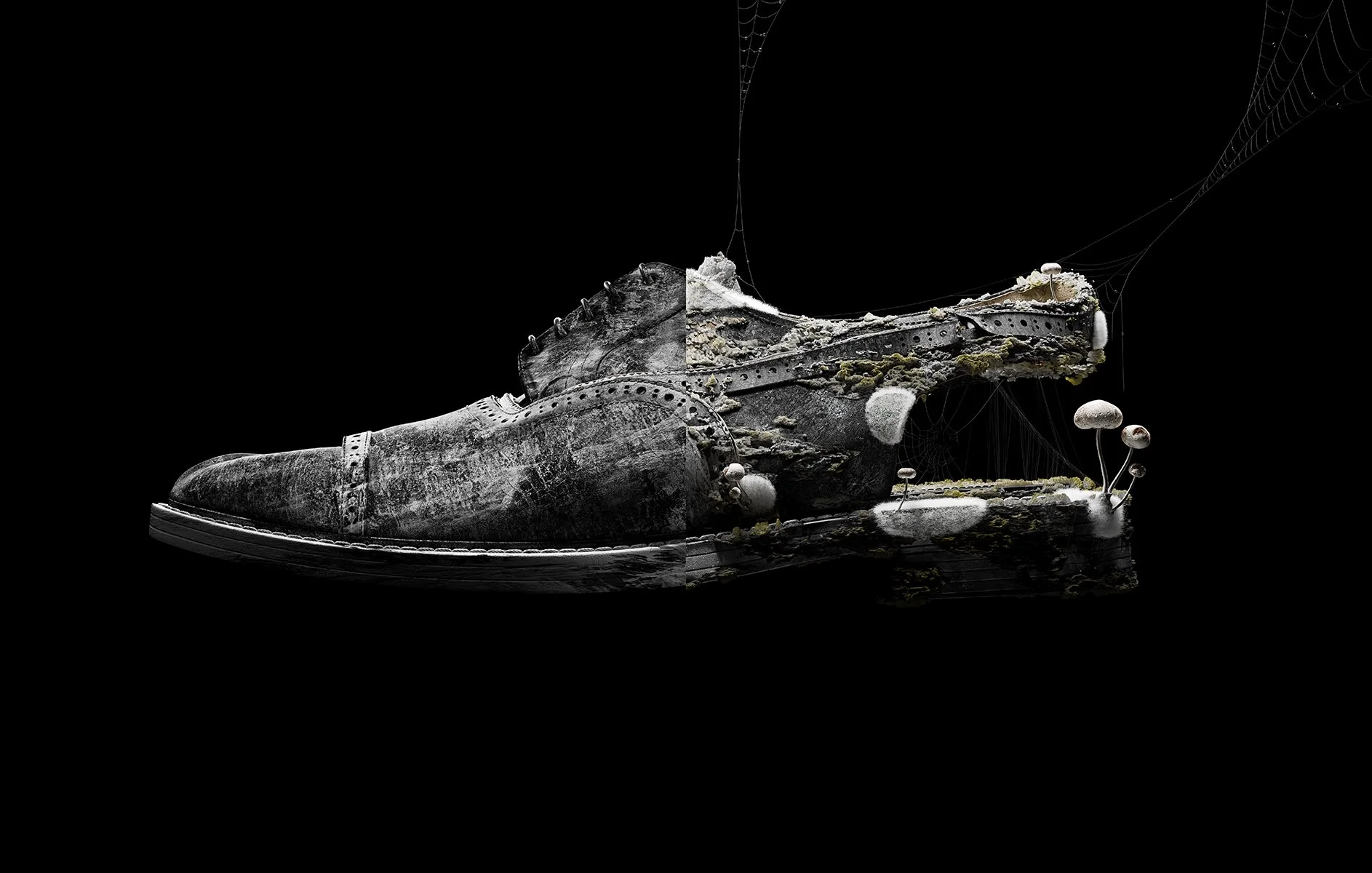  3D: 
&nbsp;&nbsp;&nbsp;&nbsp;&nbsp;
d.v.n.a ©
&nbsp;&nbsp;&nbsp;&nbsp;&nbsp;&nbsp;&nbsp;&nbsp;&nbsp;&nbsp;
 MAGAZINE: 
&nbsp;&nbsp;&nbsp;&nbsp;&nbsp;
Boycott