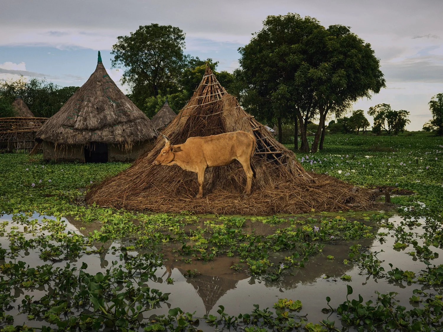  PHOTOGRAPHER: 
&nbsp;&nbsp;&nbsp;&nbsp;&nbsp;
Peter Caton ©