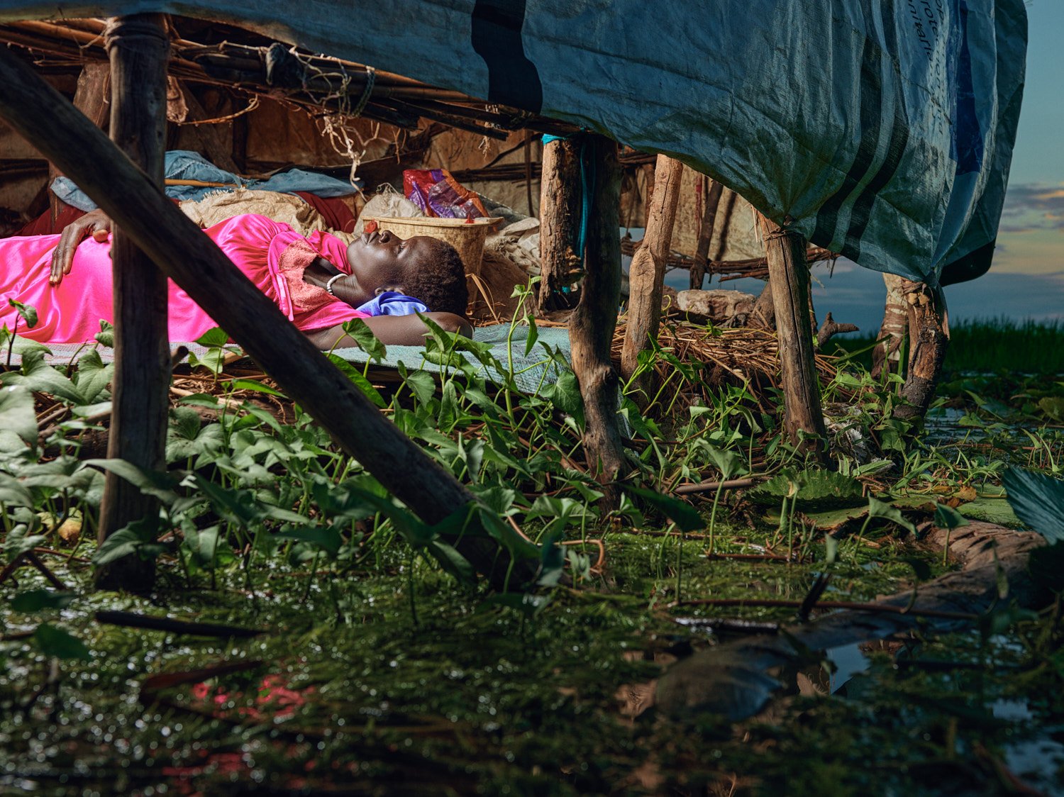  PHOTOGRAPHER: 
&nbsp;&nbsp;&nbsp;&nbsp;&nbsp;
Peter Caton ©