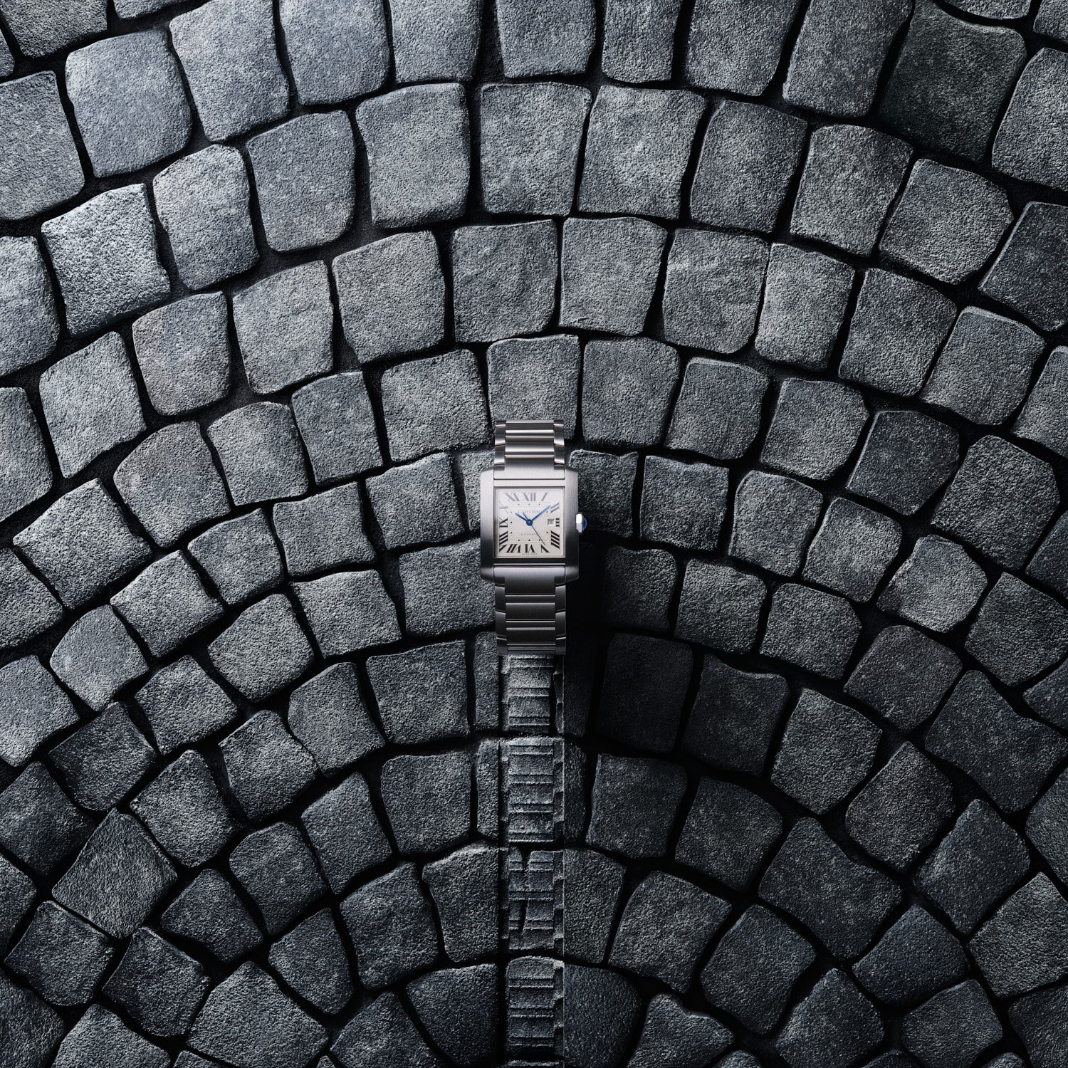  CLIENT 
&nbsp;&nbsp;&nbsp;&nbsp;&nbsp; 
Cartier ©
&nbsp;&nbsp;&nbsp;&nbsp;&nbsp;&nbsp;&nbsp;&nbsp;&nbsp;&nbsp;
 PHOTOGRAPHER 
&nbsp;&nbsp;&nbsp;&nbsp;&nbsp; 
Maud Remy Lonvis