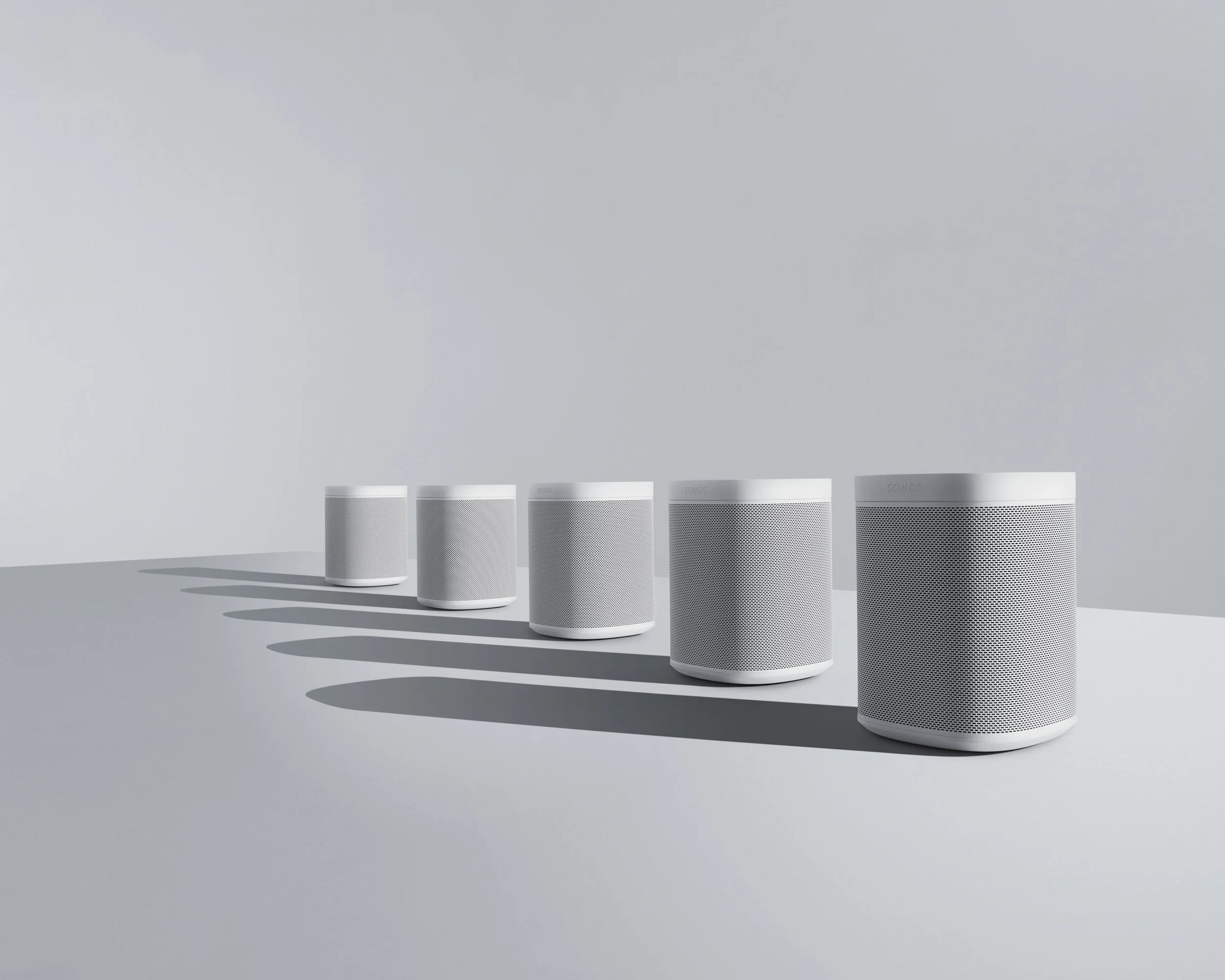  PHOTOGRAPHER: 
&nbsp;&nbsp;&nbsp;&nbsp;&nbsp;
Lupine Hammack ©