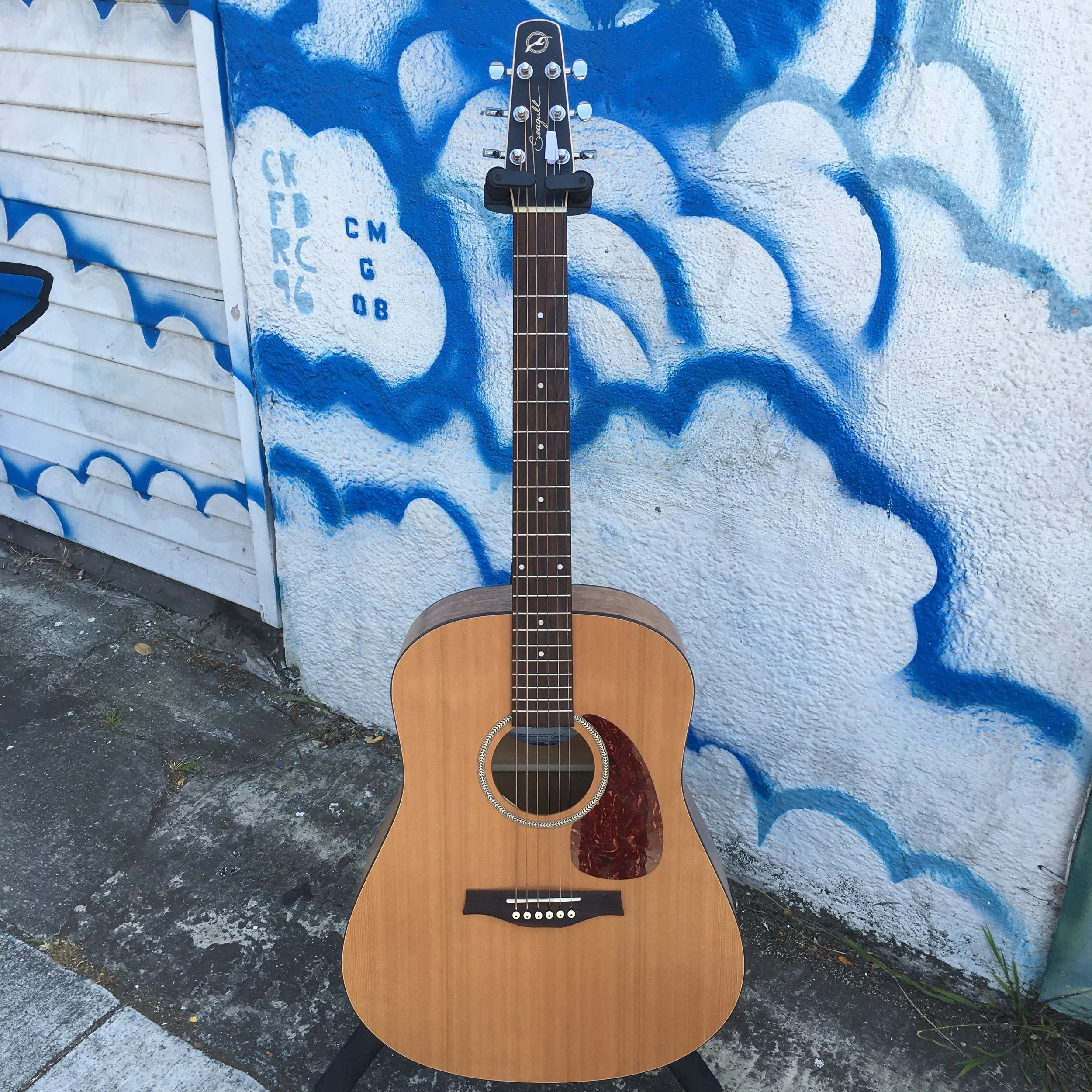 Seagull Acoustic 