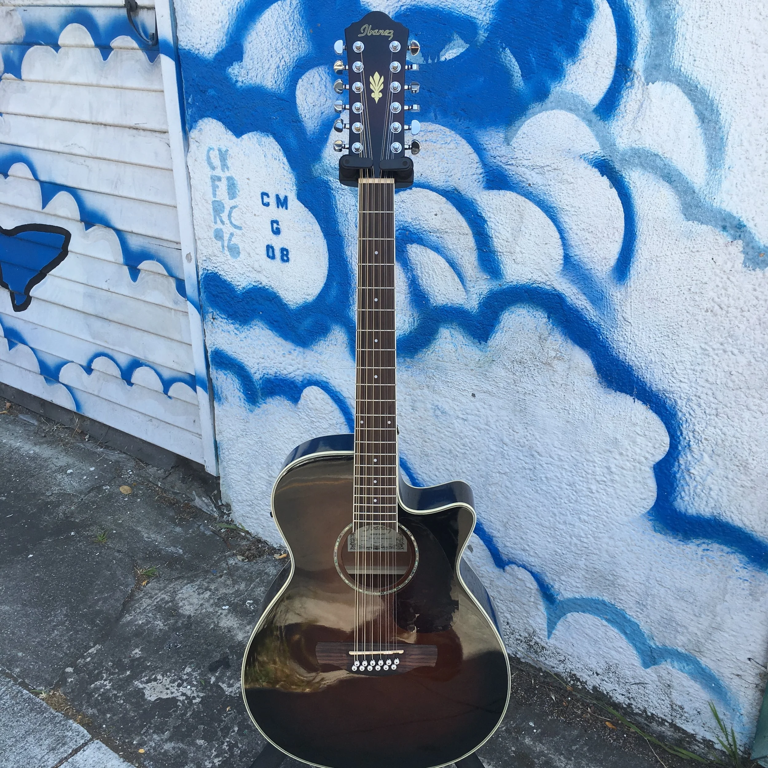 Ibanez 12 String