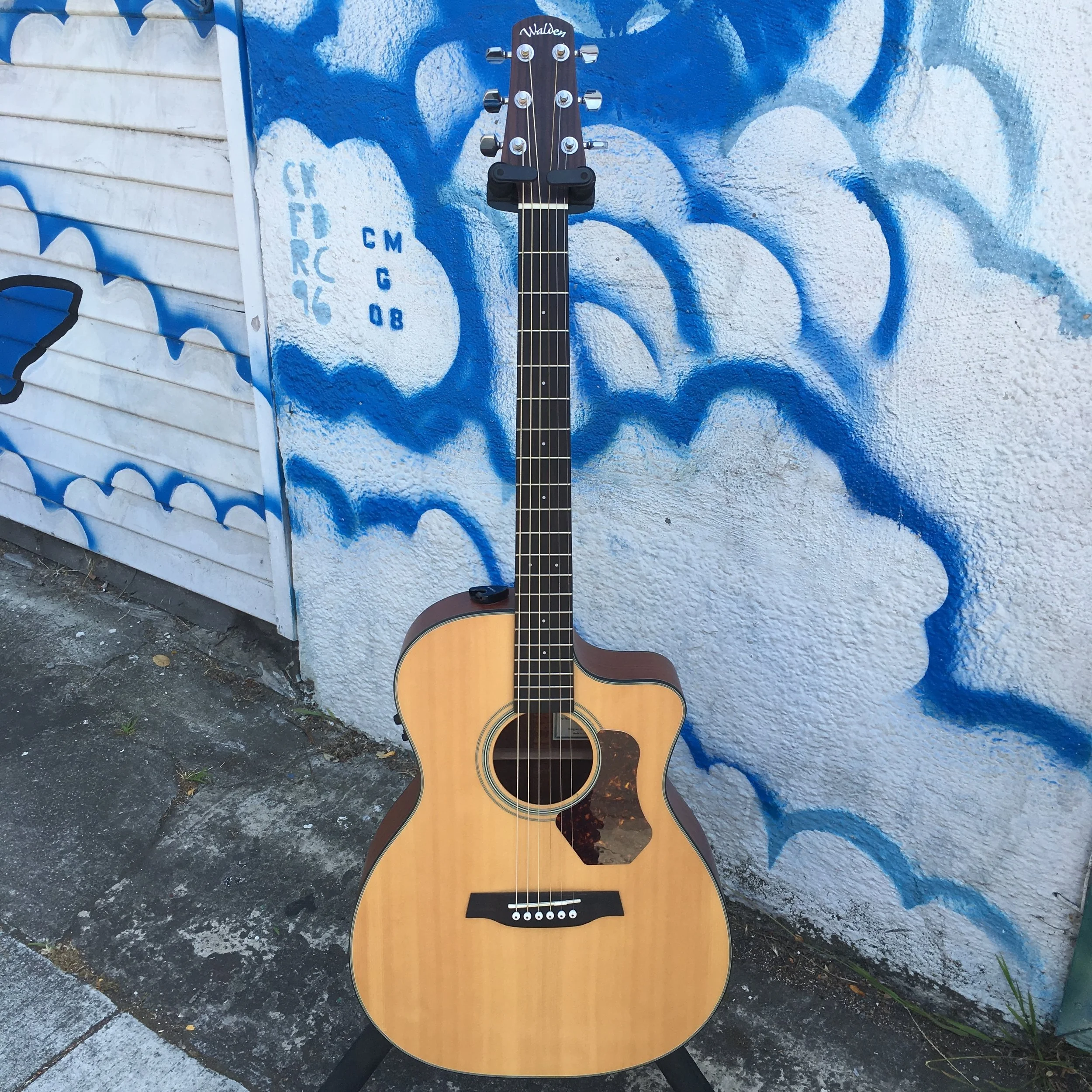 Walden Acoustic Electric
