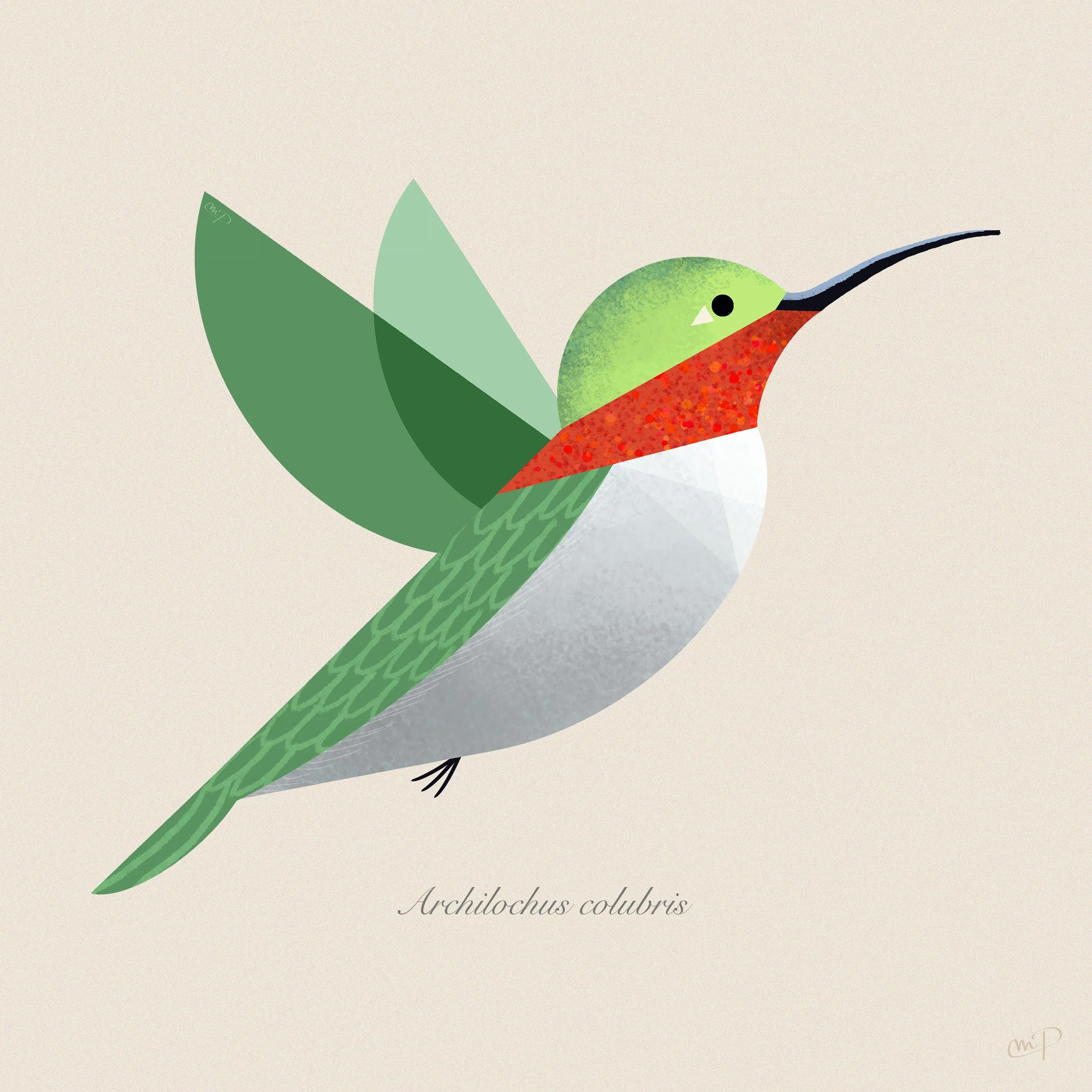 Hummingbird.jpg