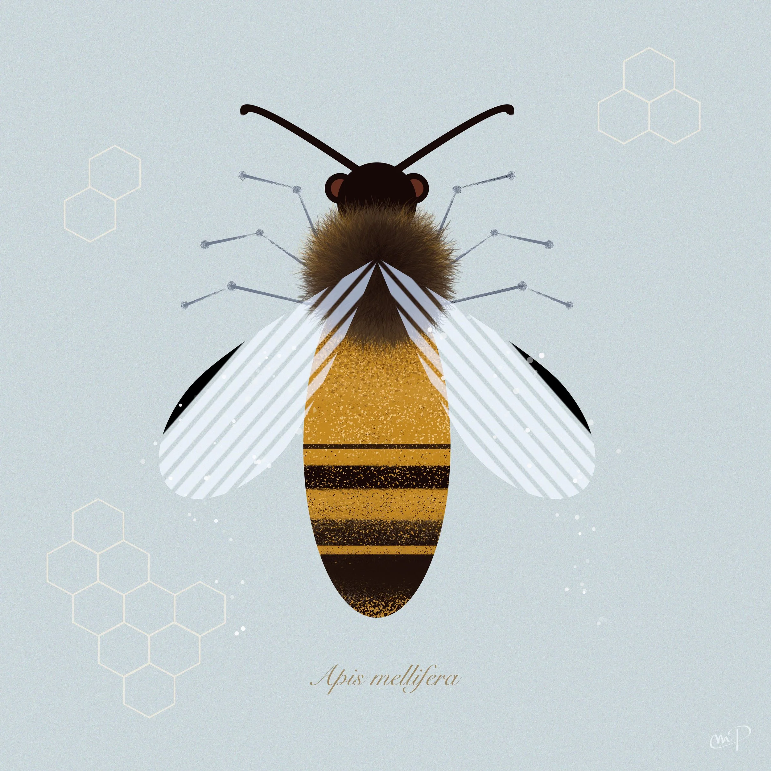 Bee.jpg