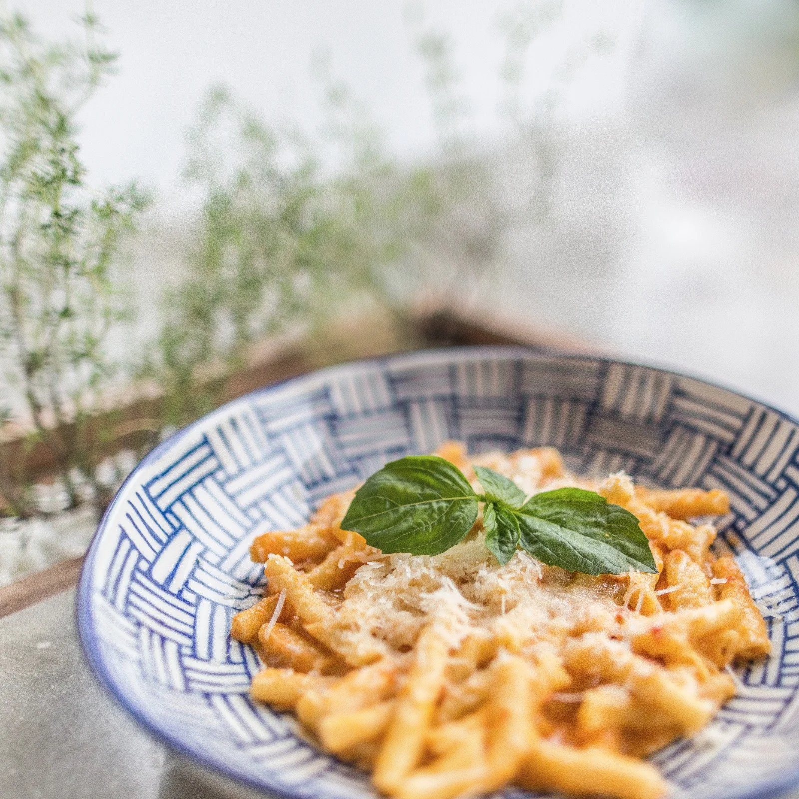 garganelli pasta with pesto della casa