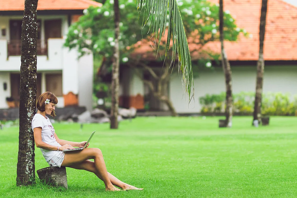 Taxes Under Palm Tree.jpg