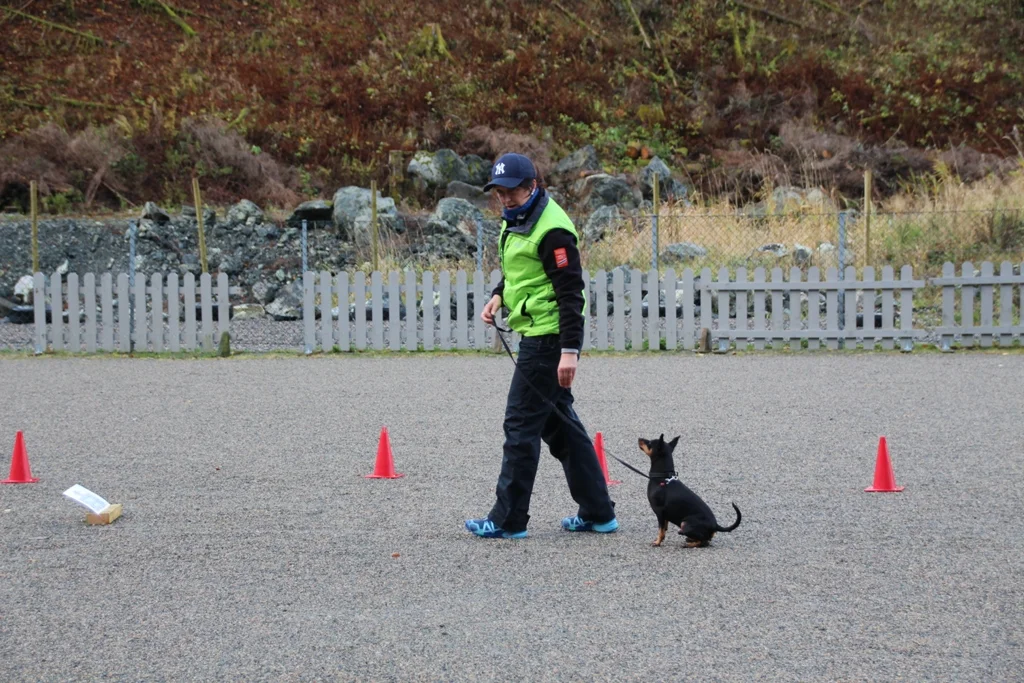 Rallykurs 