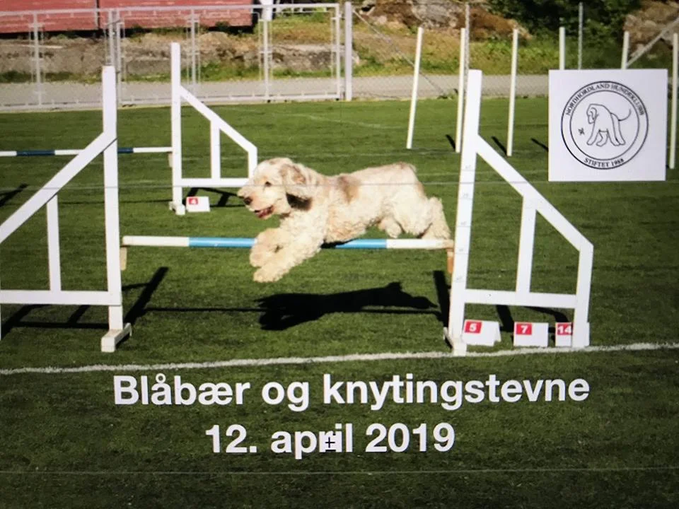 Blåbær og knytingstevne fredag 12. april 