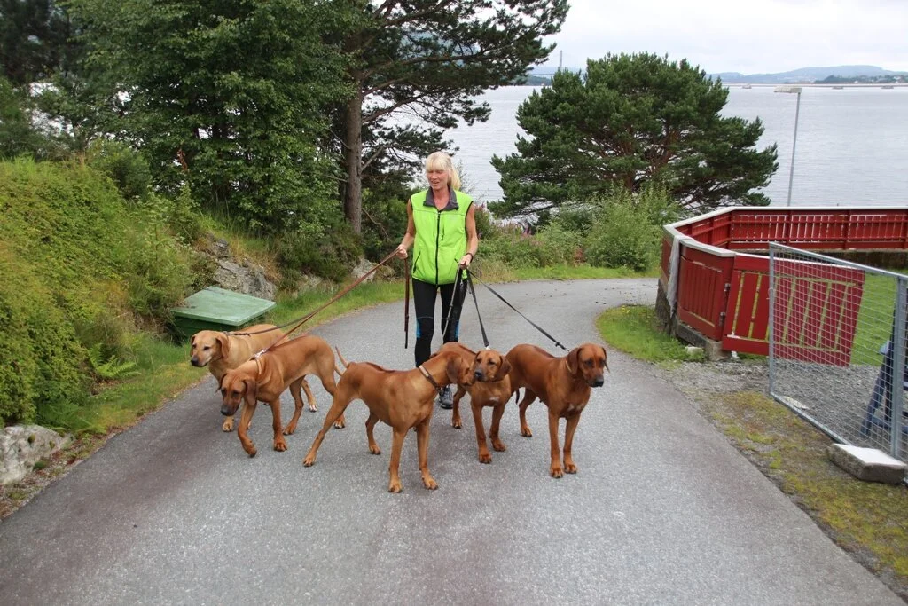 Passeringskurs dag 4