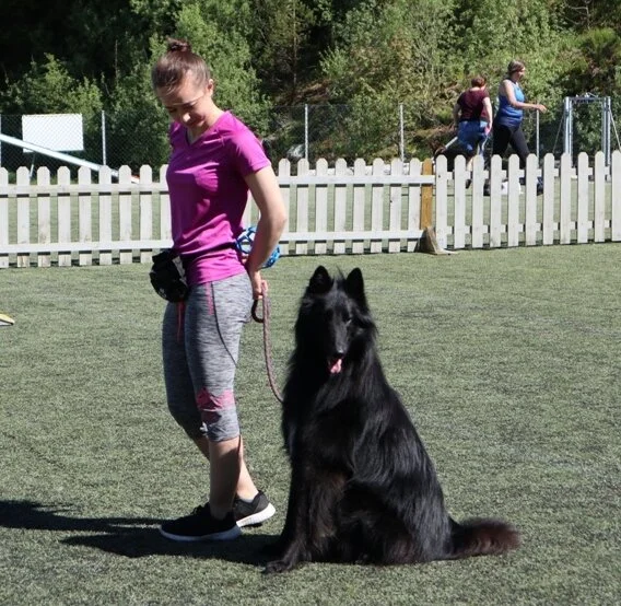 Sommertrening - Grunnferdigheter    