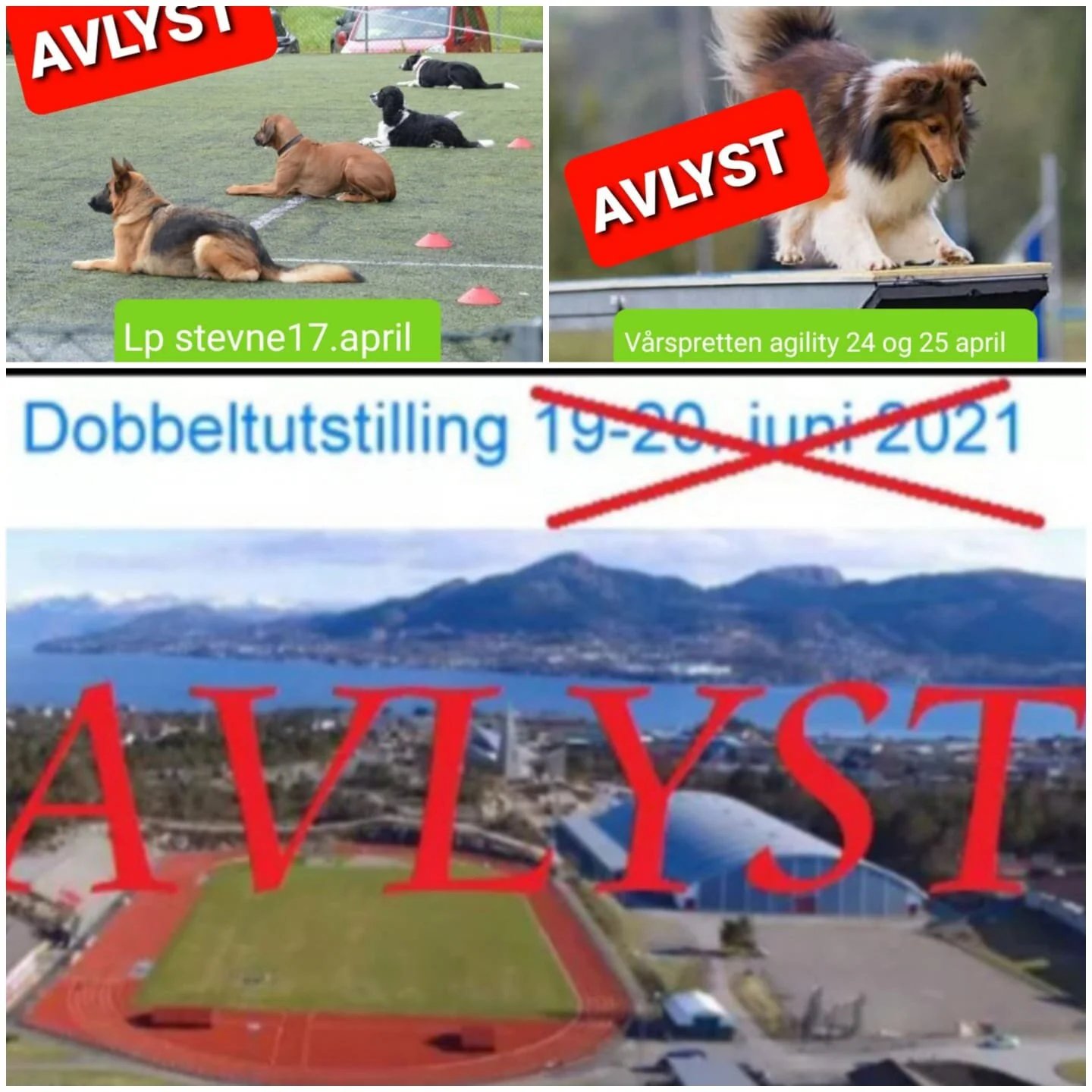 Avlyst.jpg