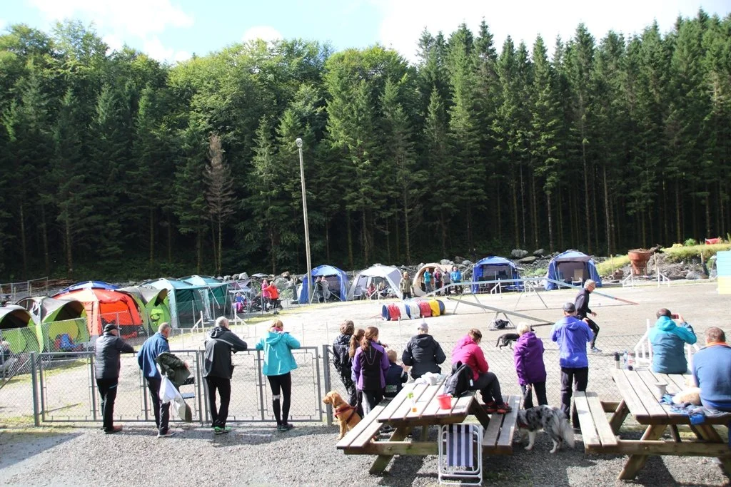 Agilitystevne helgen 23 - 24 april