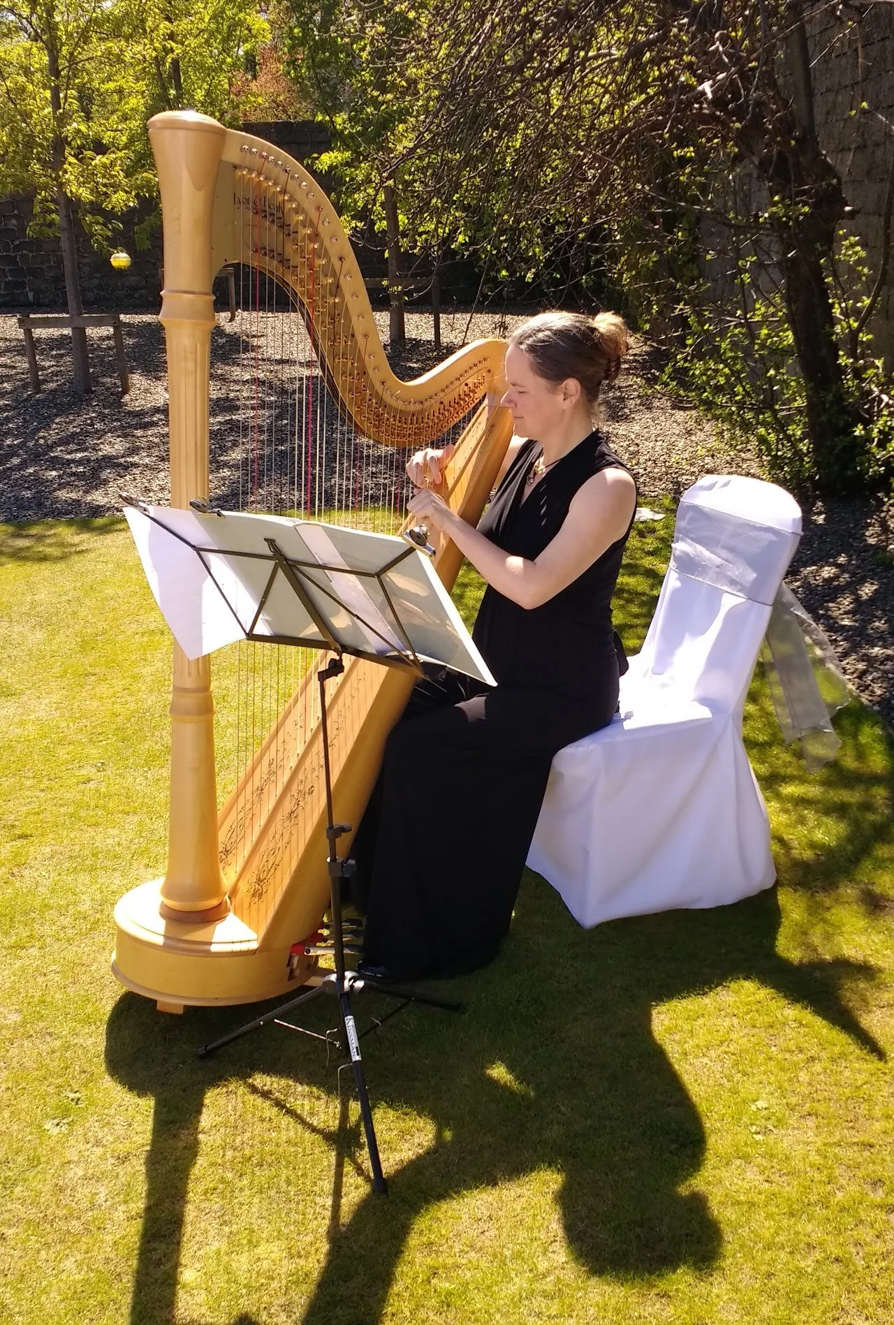 Han harp 1.jpg