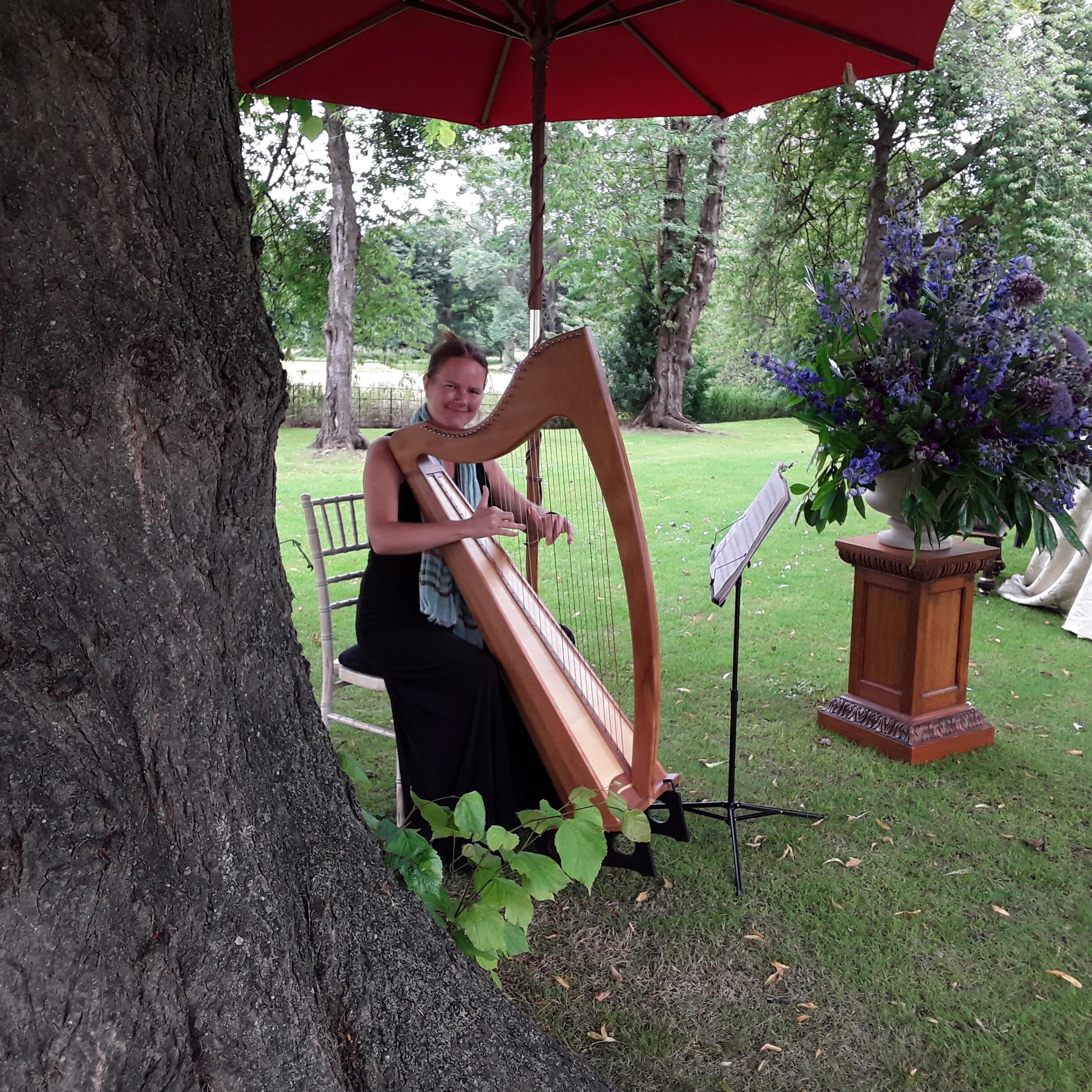 under the tree.jpg