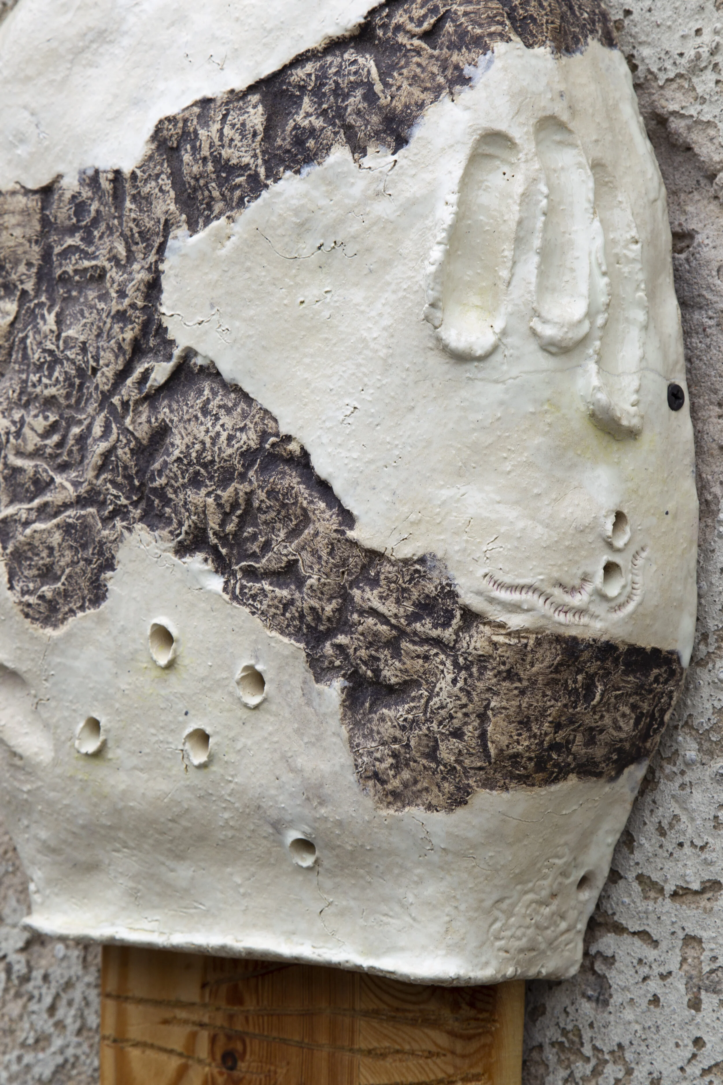 HIBERNACULUM(bat) #2_WETLANDS_MP_EXG_003.JPG