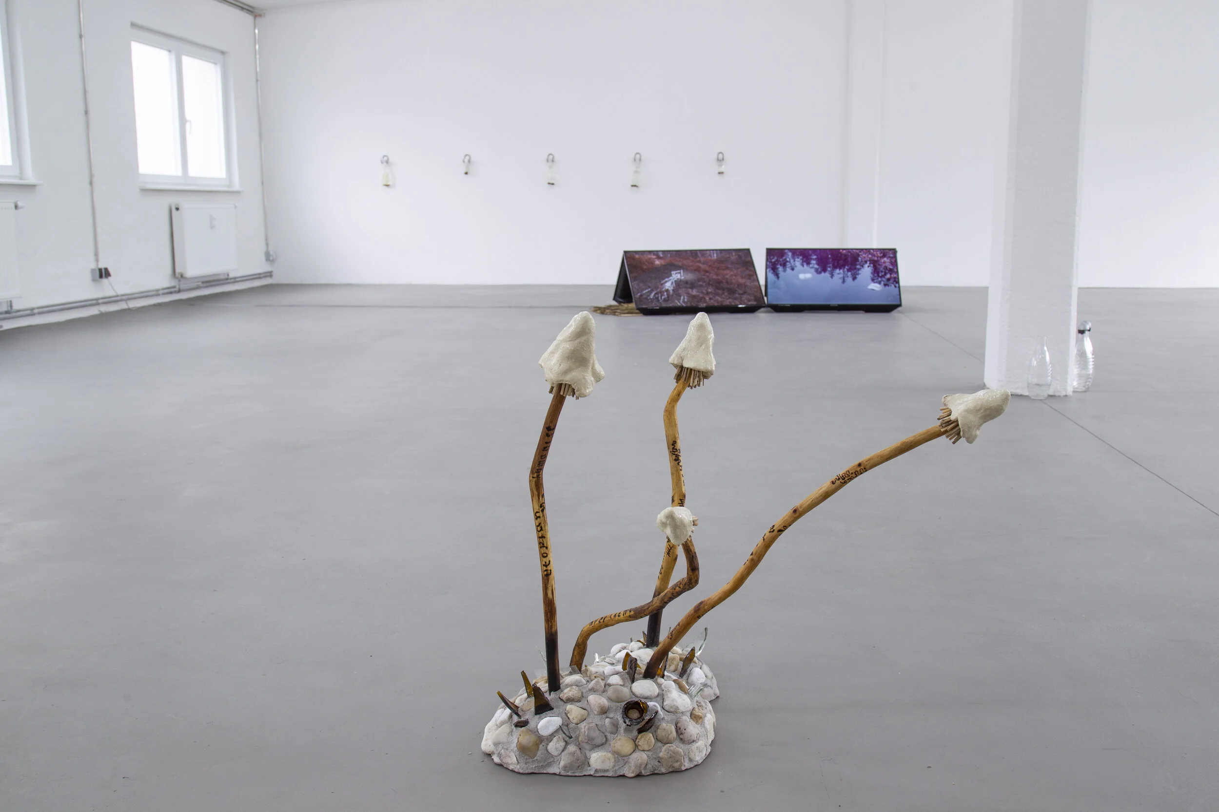 HIBERNACULUM(moth 1 & 2)_WETLANDS_MP_EXG_001.JPG