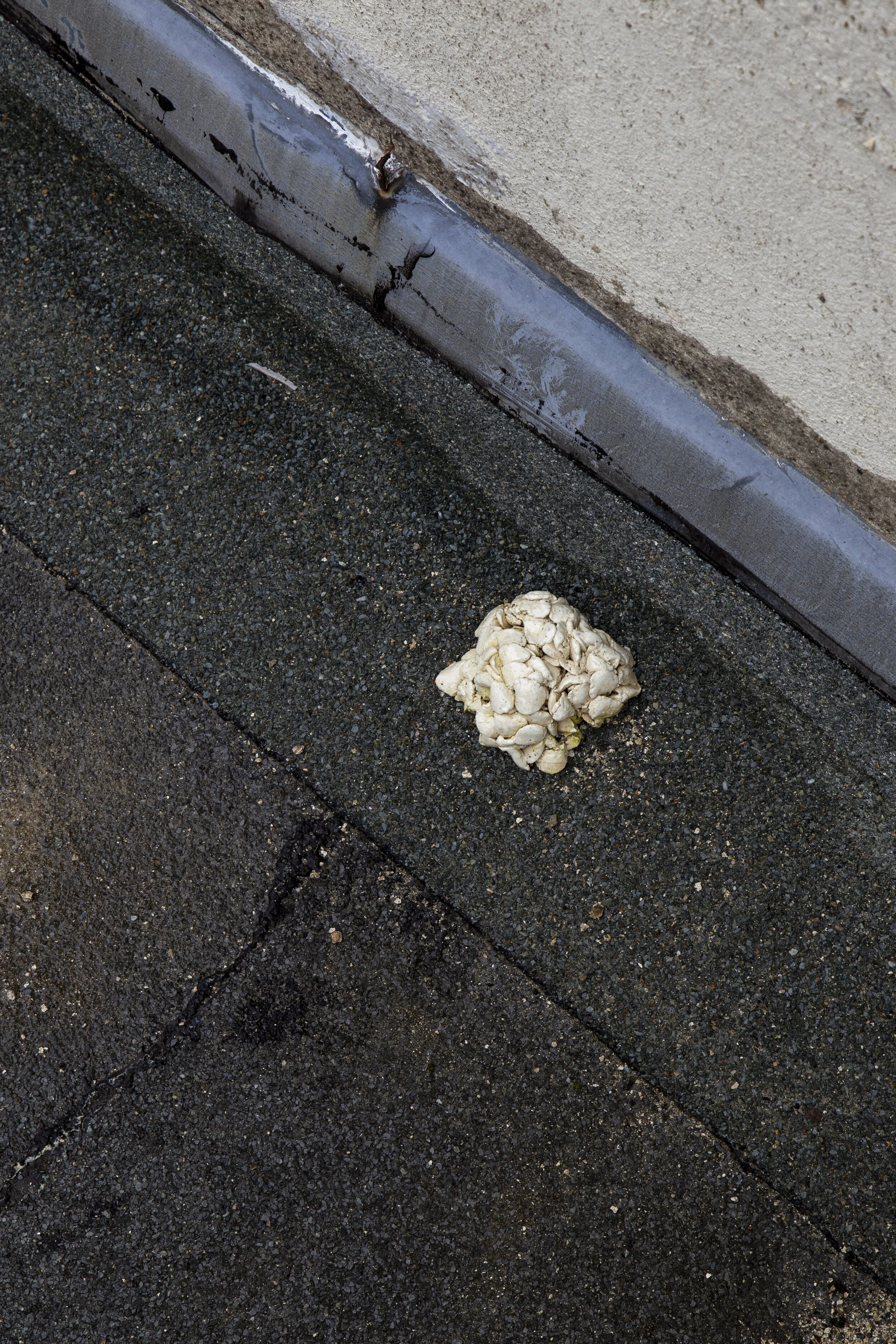 HIBERNACULUM(bat) #2_WETLANDS_MP_EXG_004.JPG