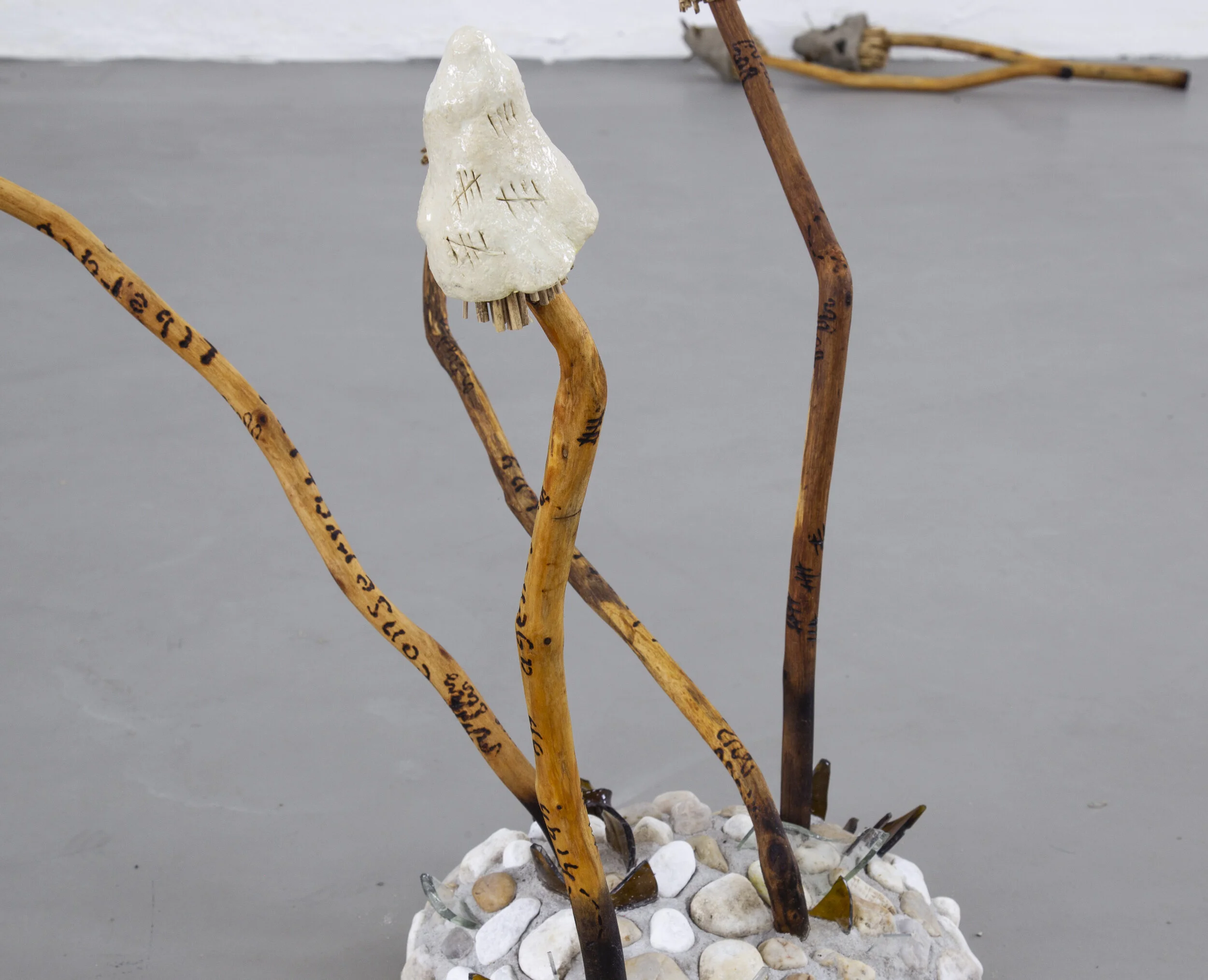 HIBERNACULUM(moth 1 & 2)_WETLANDS_MP_EXG_002.JPG