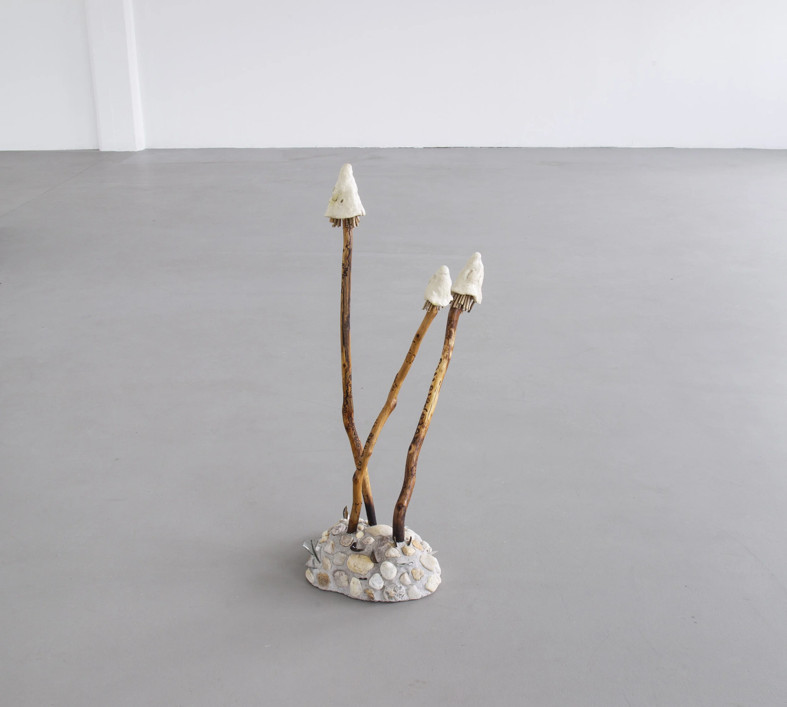 HIBERNACULUM(moth 1 & 2)_WETLANDS_MP_EXG_003.JPG