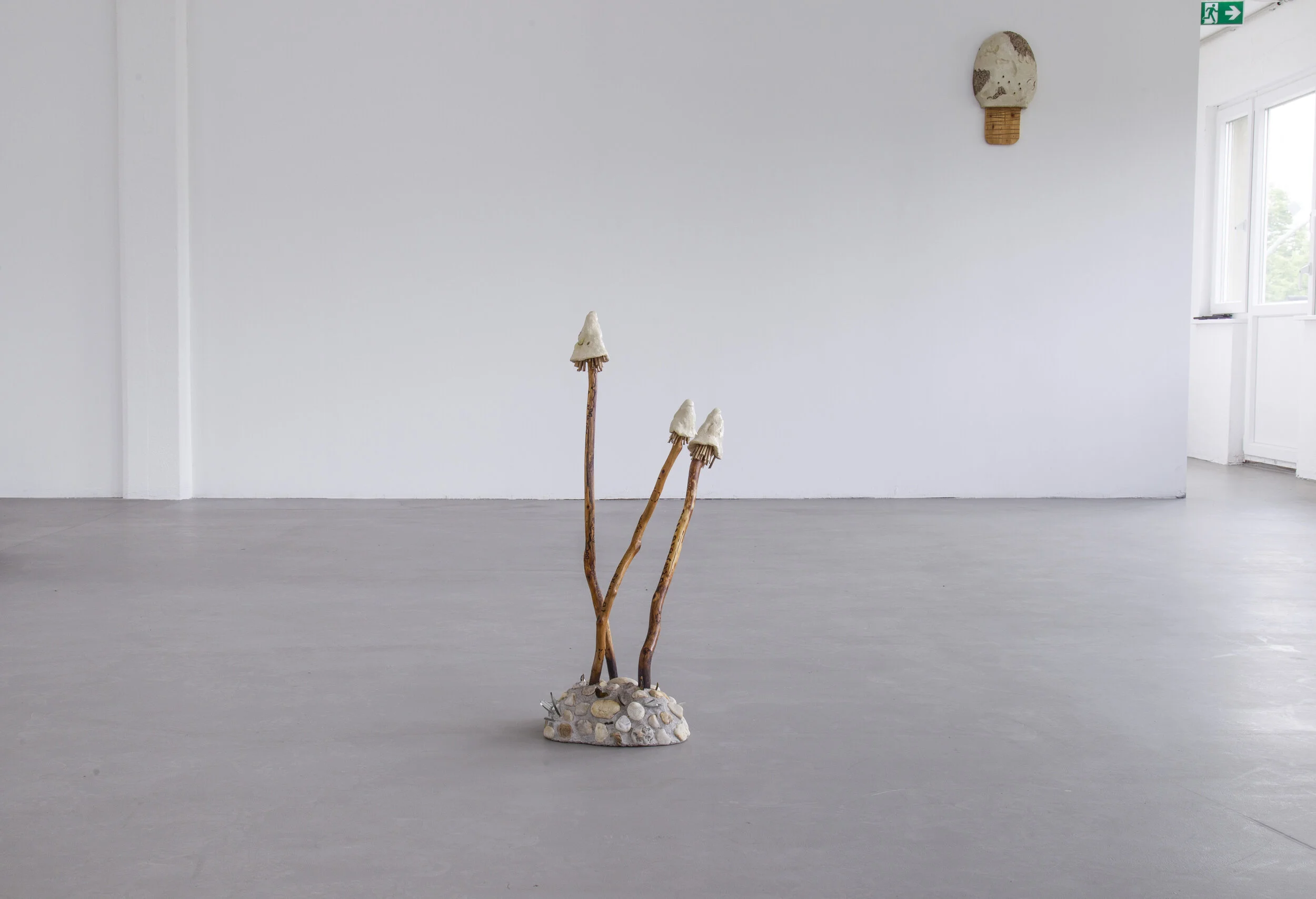 HIBERNACULUM(moth 1 & 2)_WETLANDS_MP_EXG_004.JPG