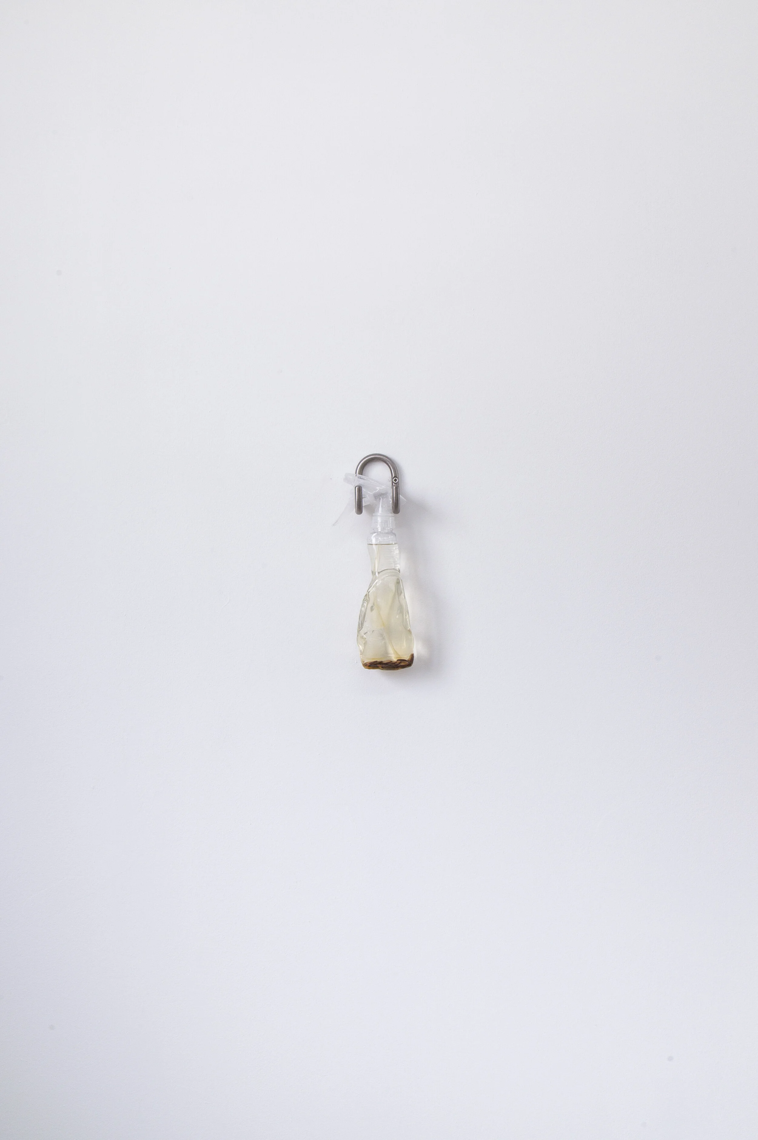 MANURE FROM MONEY_WETLANDS_MP_EXG_001.JPG