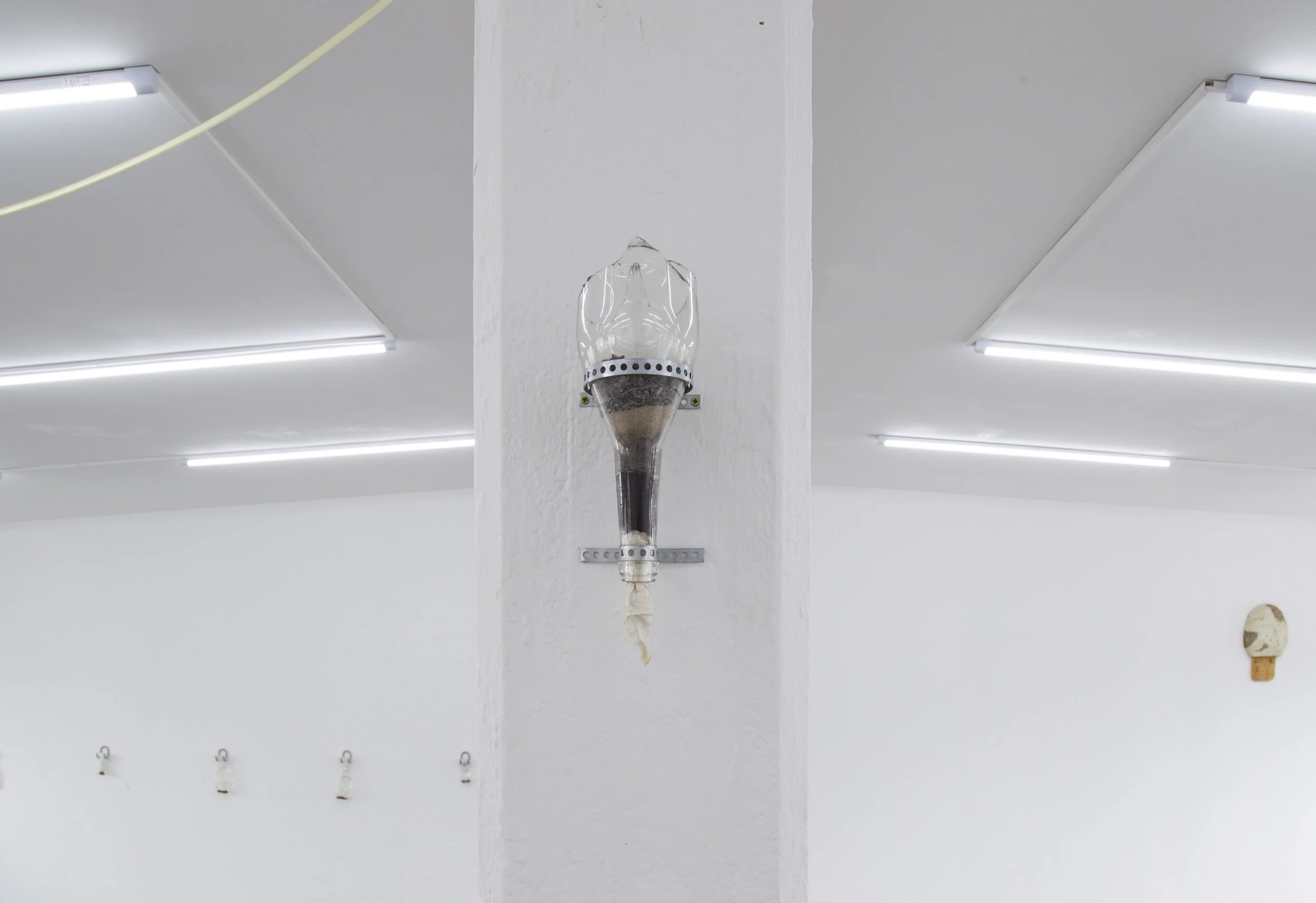 OVER ME_WETLANDS_MP_EXG_008.JPG