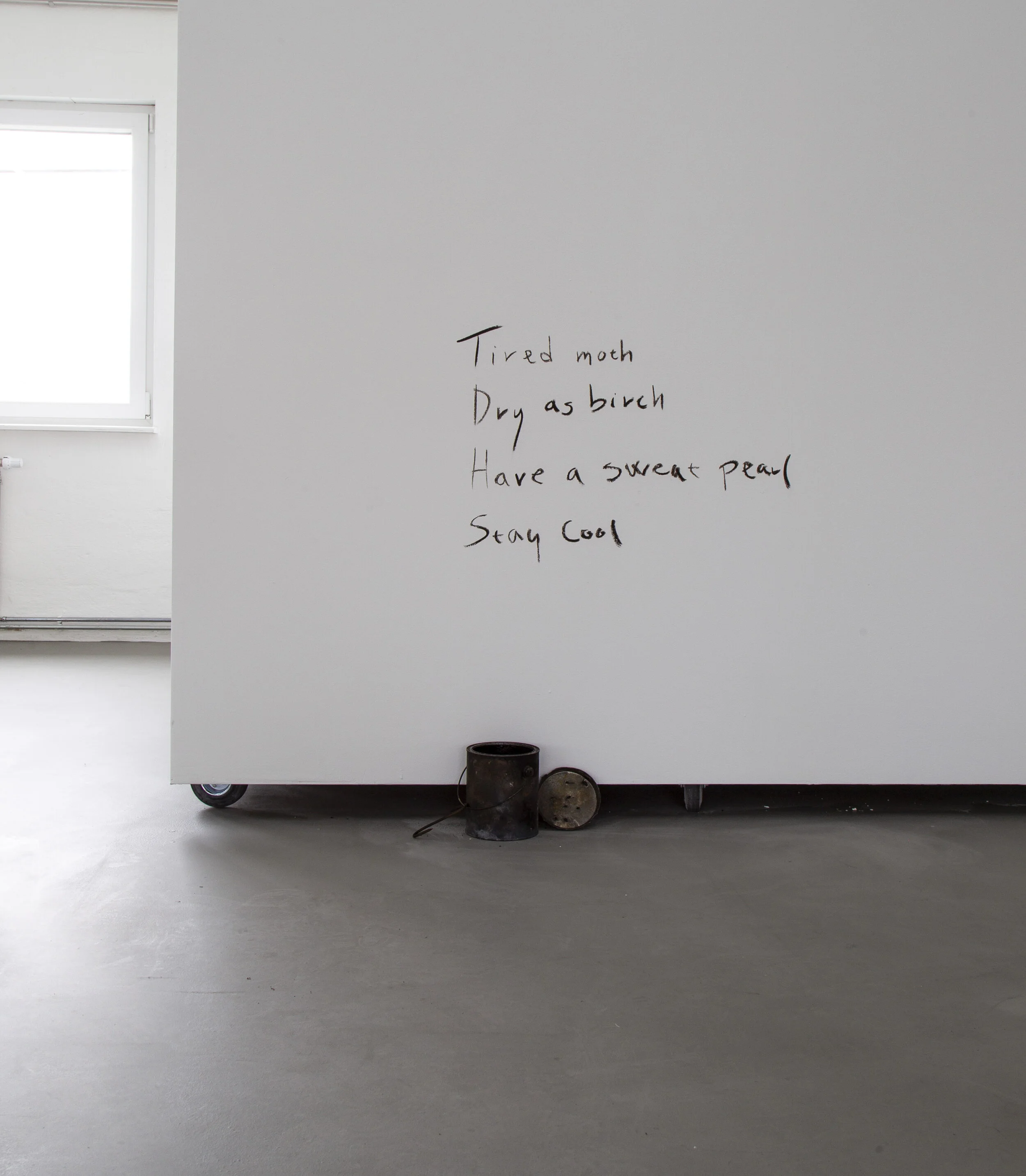 TIRED MOTH_WETLANDS_MP_EXG_001.JPG