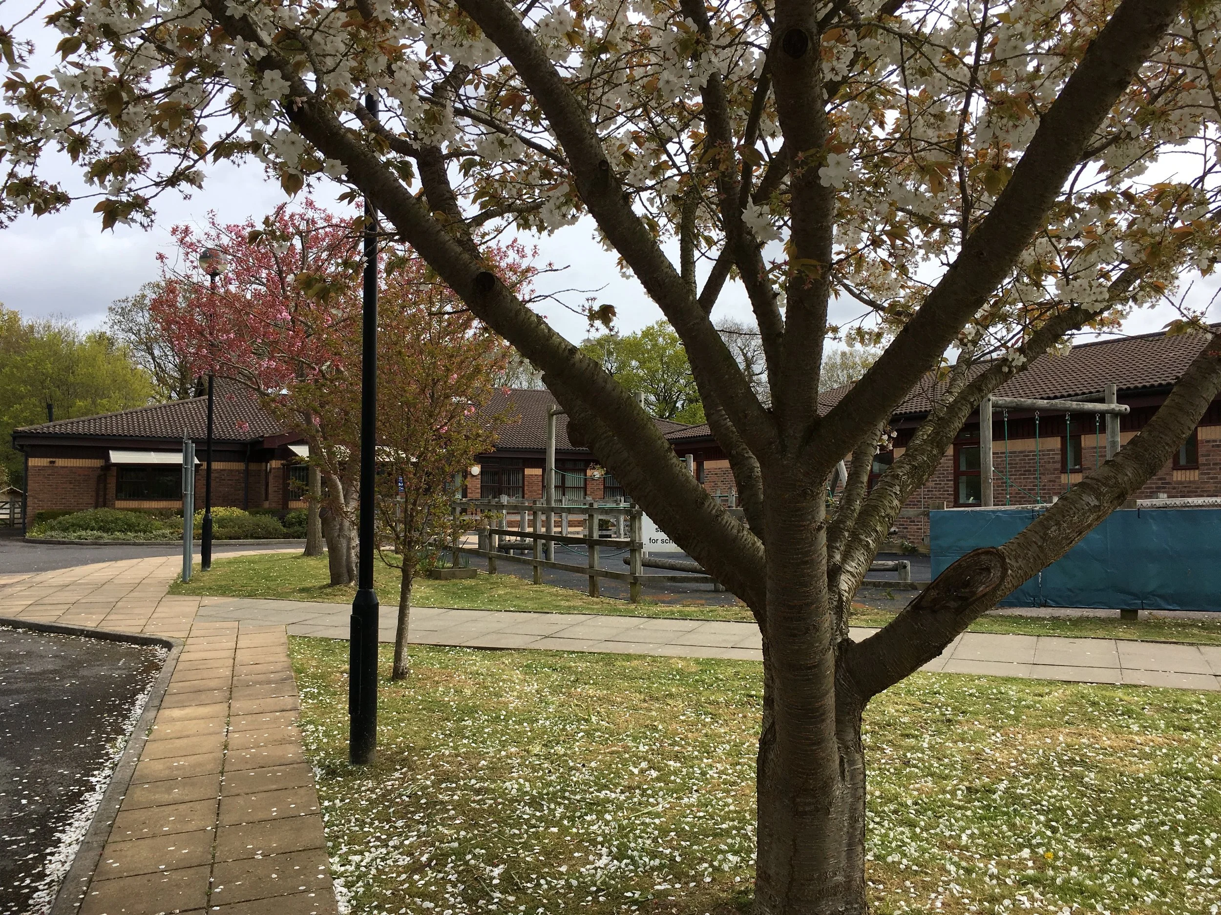 Castlewood Primary School