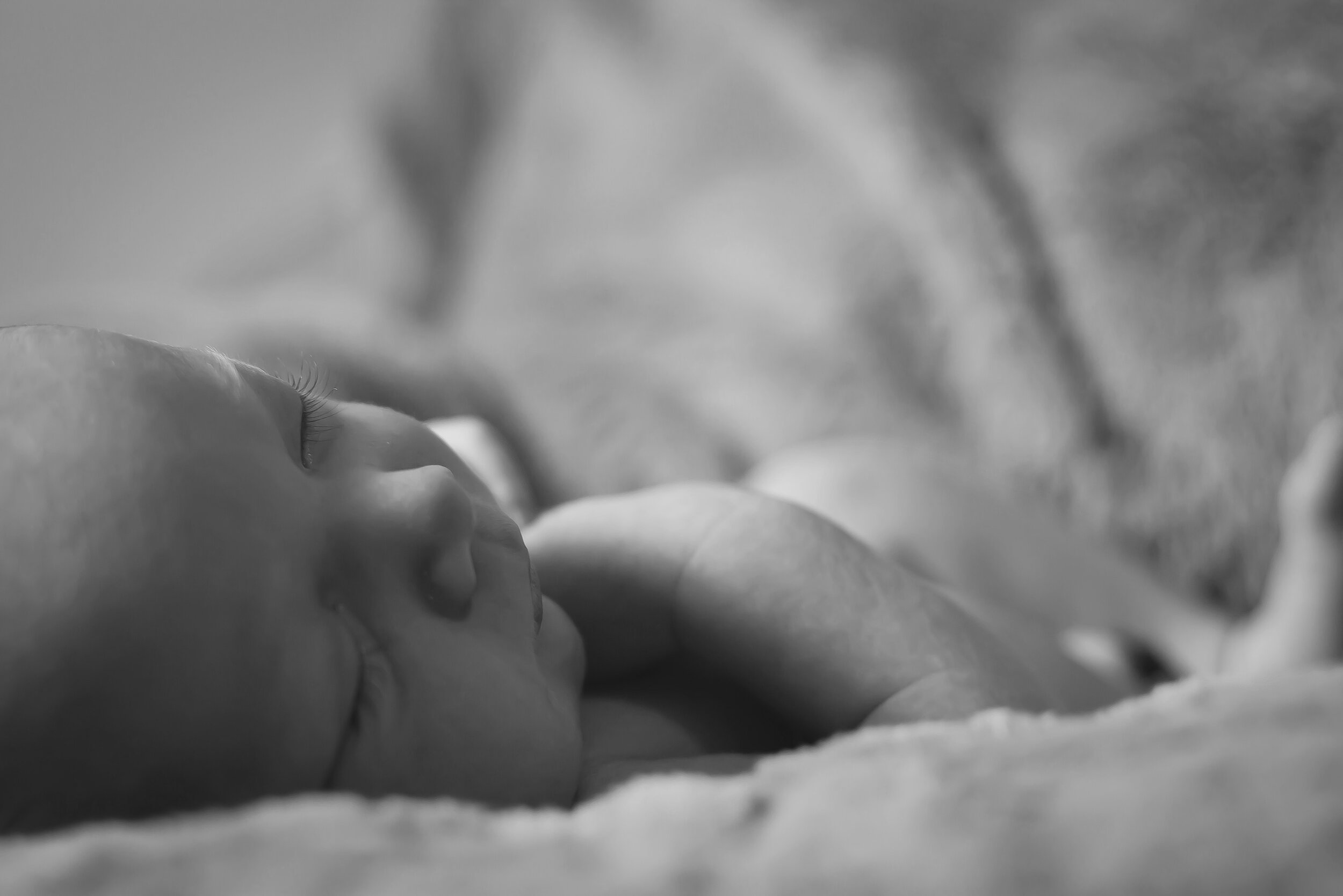 carlo-navarro-WCbCRXk7nmU-unsplash_2.jpg