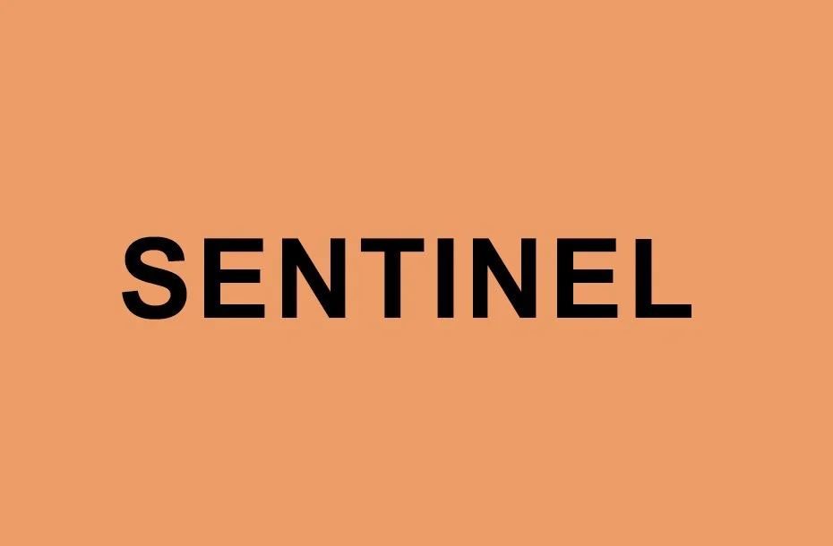 SENTINEL  - Supporter pack