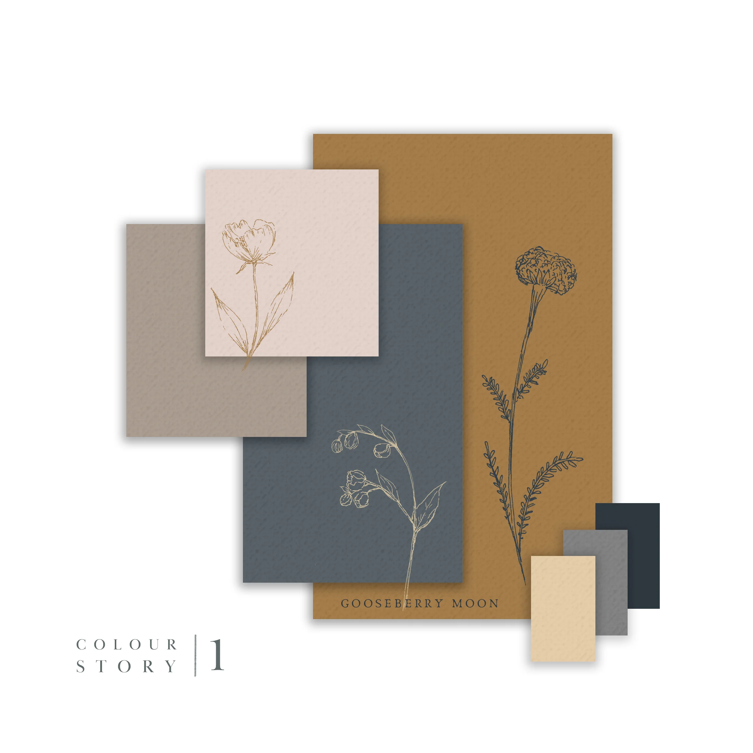 colour palette 1.jpg