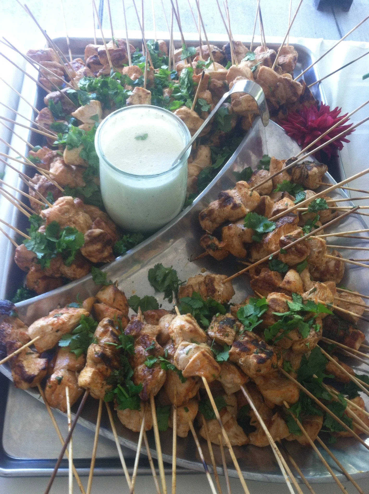 Waldorf teacher college graduation- Summer 2016