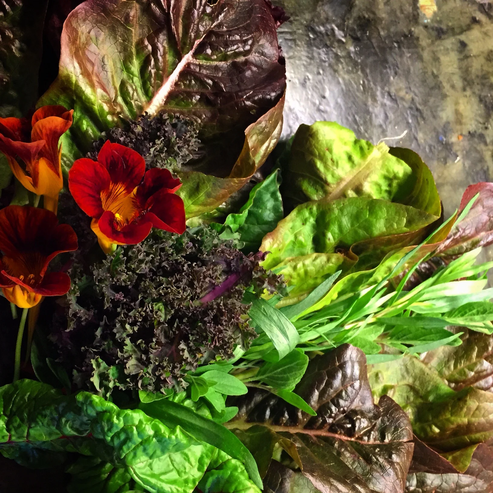 From the Garden