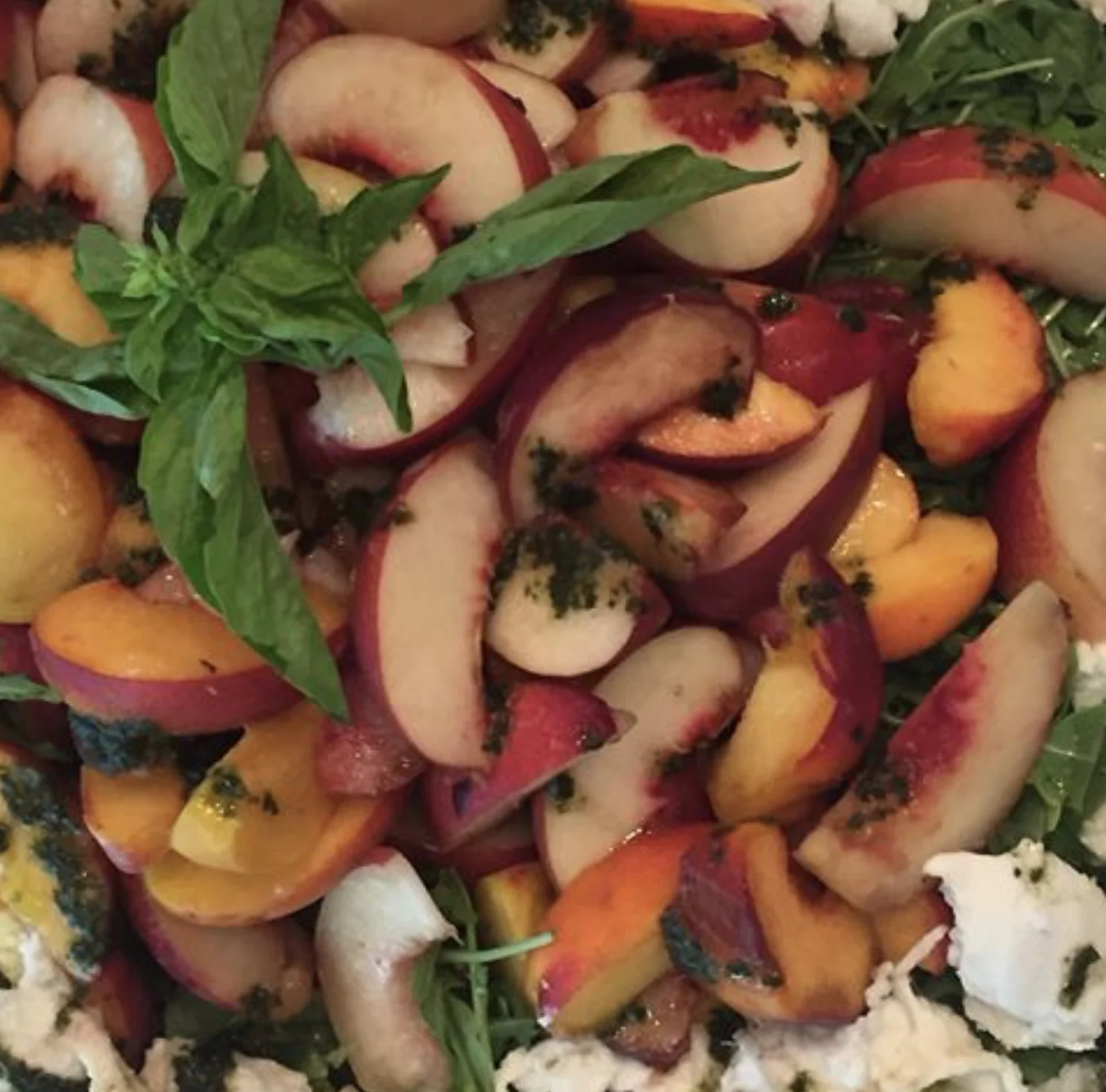 Summer Stone Fruit Salad with Buffalo Mozzarella