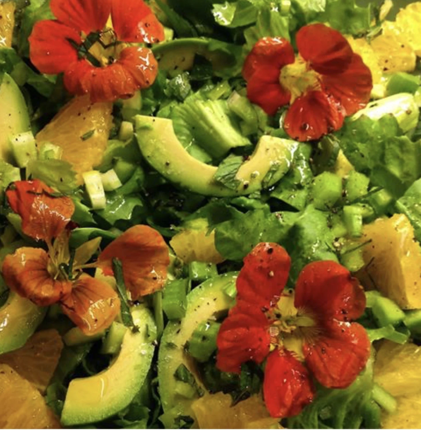 Springtime Citrus & Avocado Salad