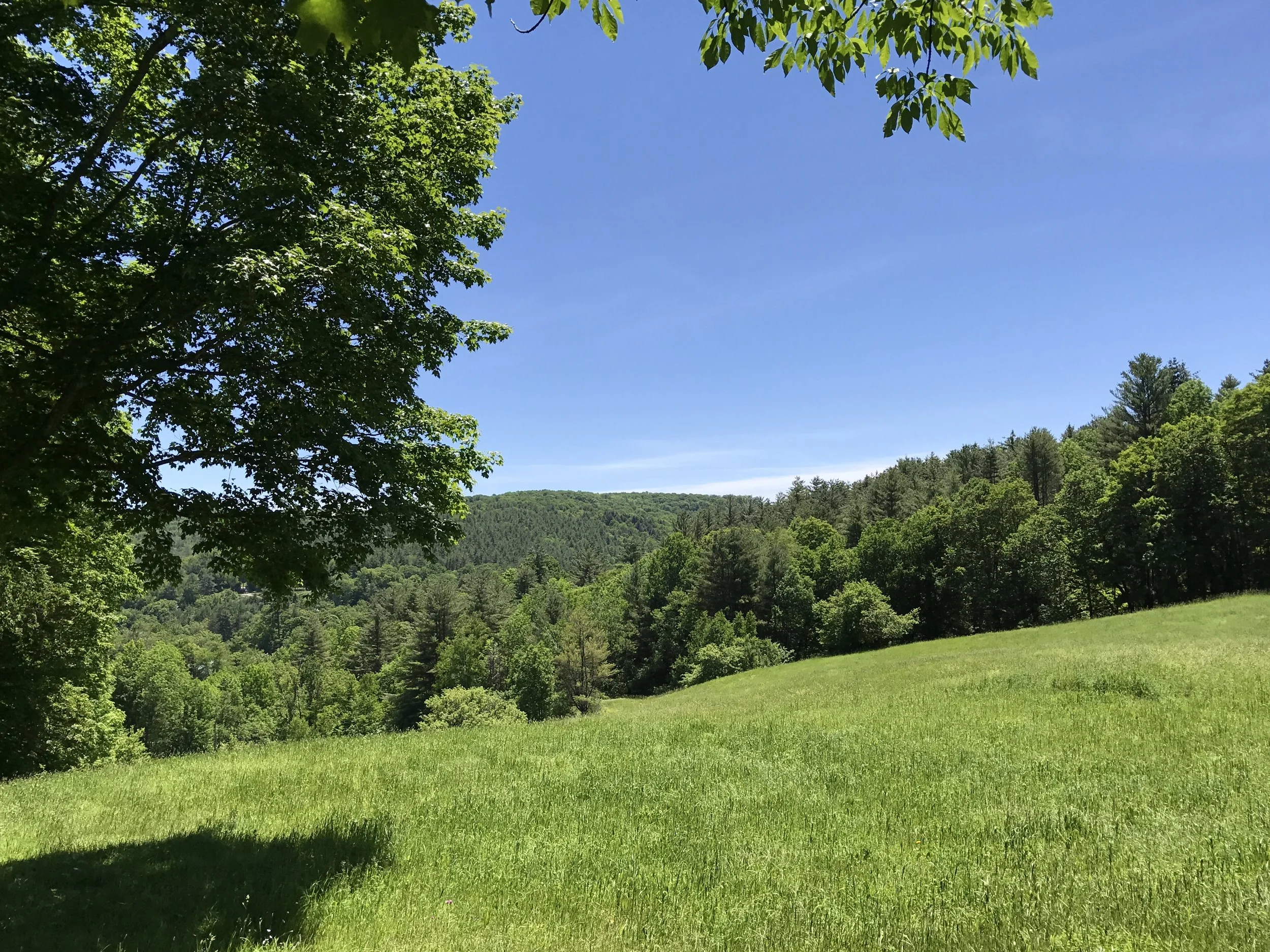 HILLSIDE VIEW.JPG