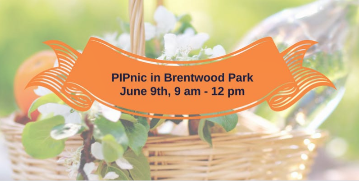 2018 Alumni PIPnic 
